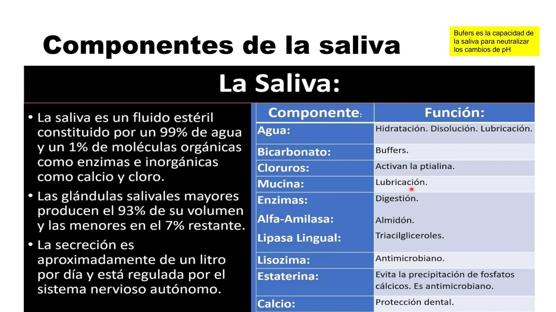 INSTITUTO
DE EDUCACION SUPERIOR TECNOLOGICO PUBLICO
* AYAVIRI *
Anatomía y Fisiología de
la Cavidad Oral
UNIDAD DIDACTICA: SALUD BUCAL # 1.