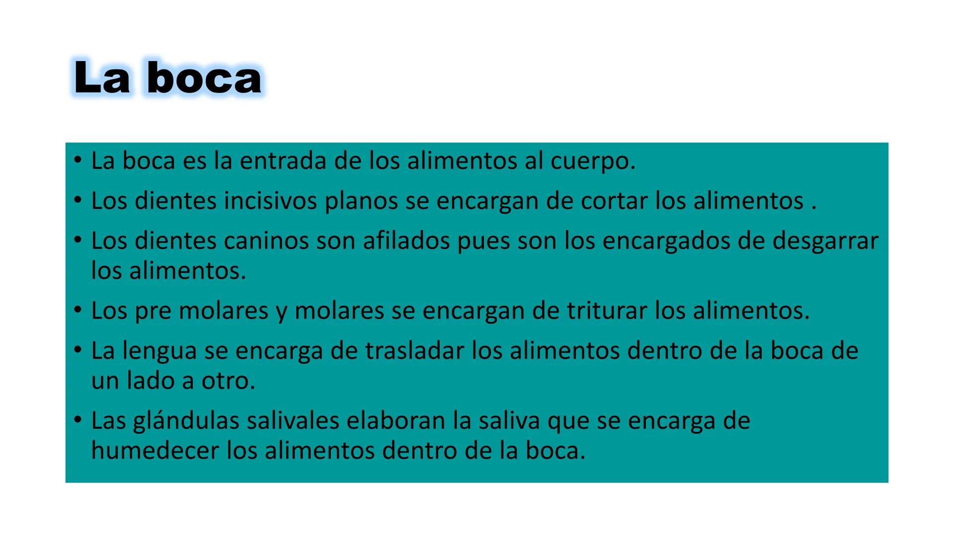 INSTITUTO
DE EDUCACION SUPERIOR TECNOLOGICO PUBLICO
* AYAVIRI *
Anatomía y Fisiología de
la Cavidad Oral
UNIDAD DIDACTICA: SALUD BUCAL # 1.