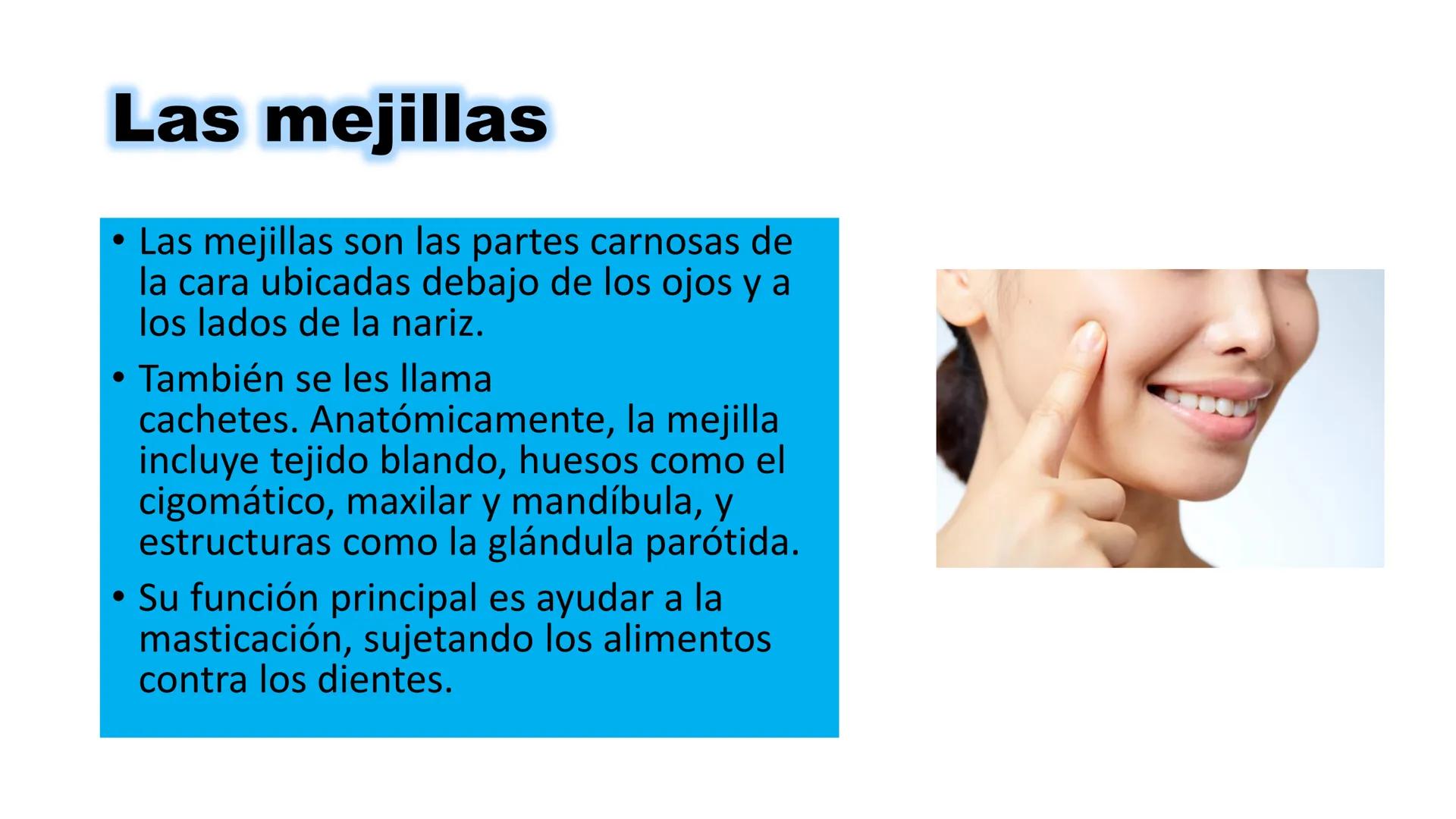 INSTITUTO
DE EDUCACION SUPERIOR TECNOLOGICO PUBLICO
* AYAVIRI *
Anatomía y Fisiología de
la Cavidad Oral
UNIDAD DIDACTICA: SALUD BUCAL # 1.