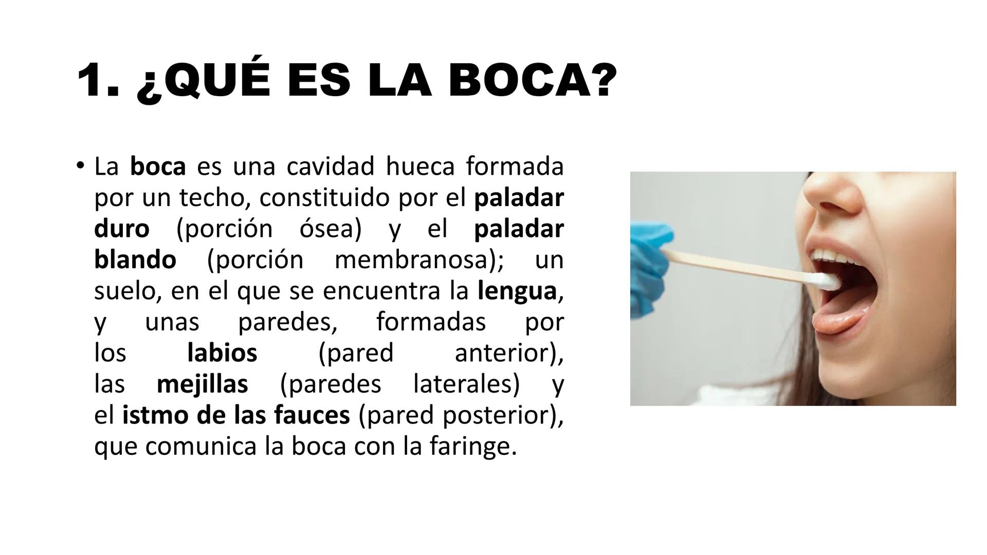 INSTITUTO
DE EDUCACION SUPERIOR TECNOLOGICO PUBLICO
* AYAVIRI *
Anatomía y Fisiología de
la Cavidad Oral
UNIDAD DIDACTICA: SALUD BUCAL # 1.