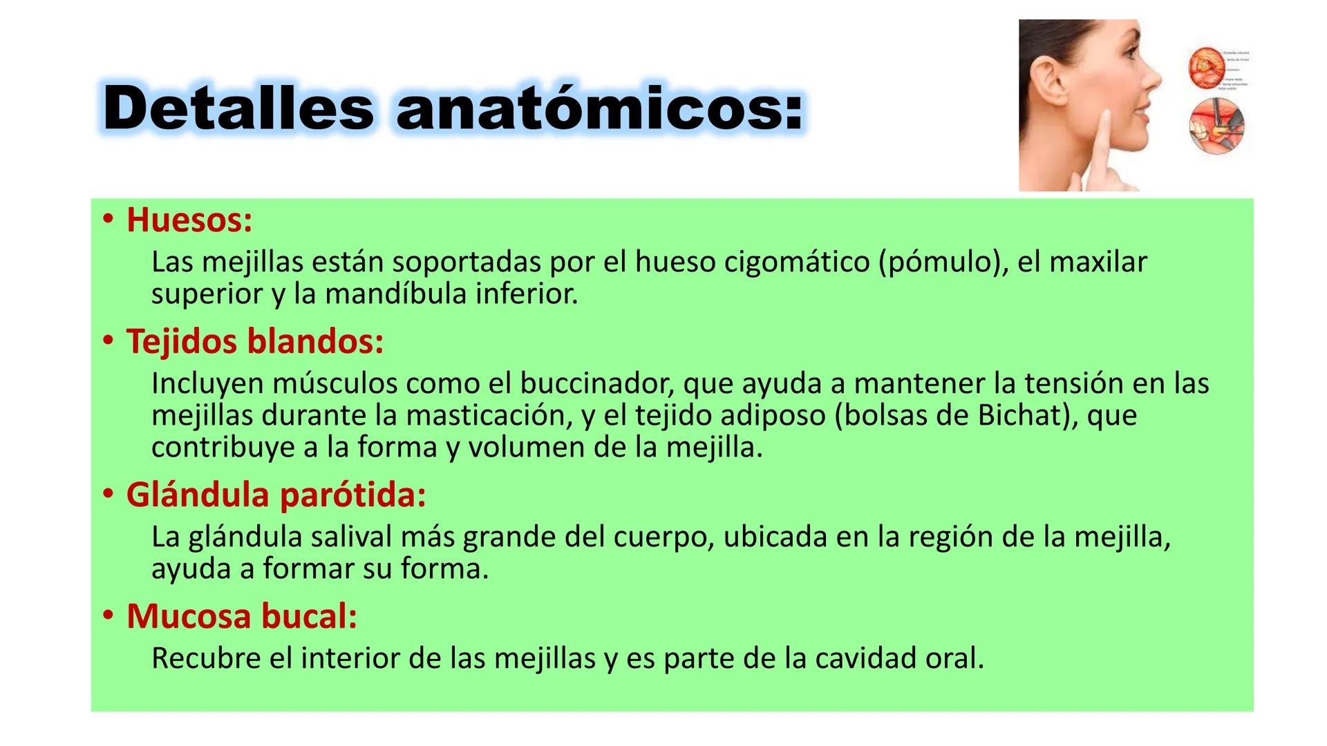 INSTITUTO
DE EDUCACION SUPERIOR TECNOLOGICO PUBLICO
* AYAVIRI *
Anatomía y Fisiología de
la Cavidad Oral
UNIDAD DIDACTICA: SALUD BUCAL # 1.