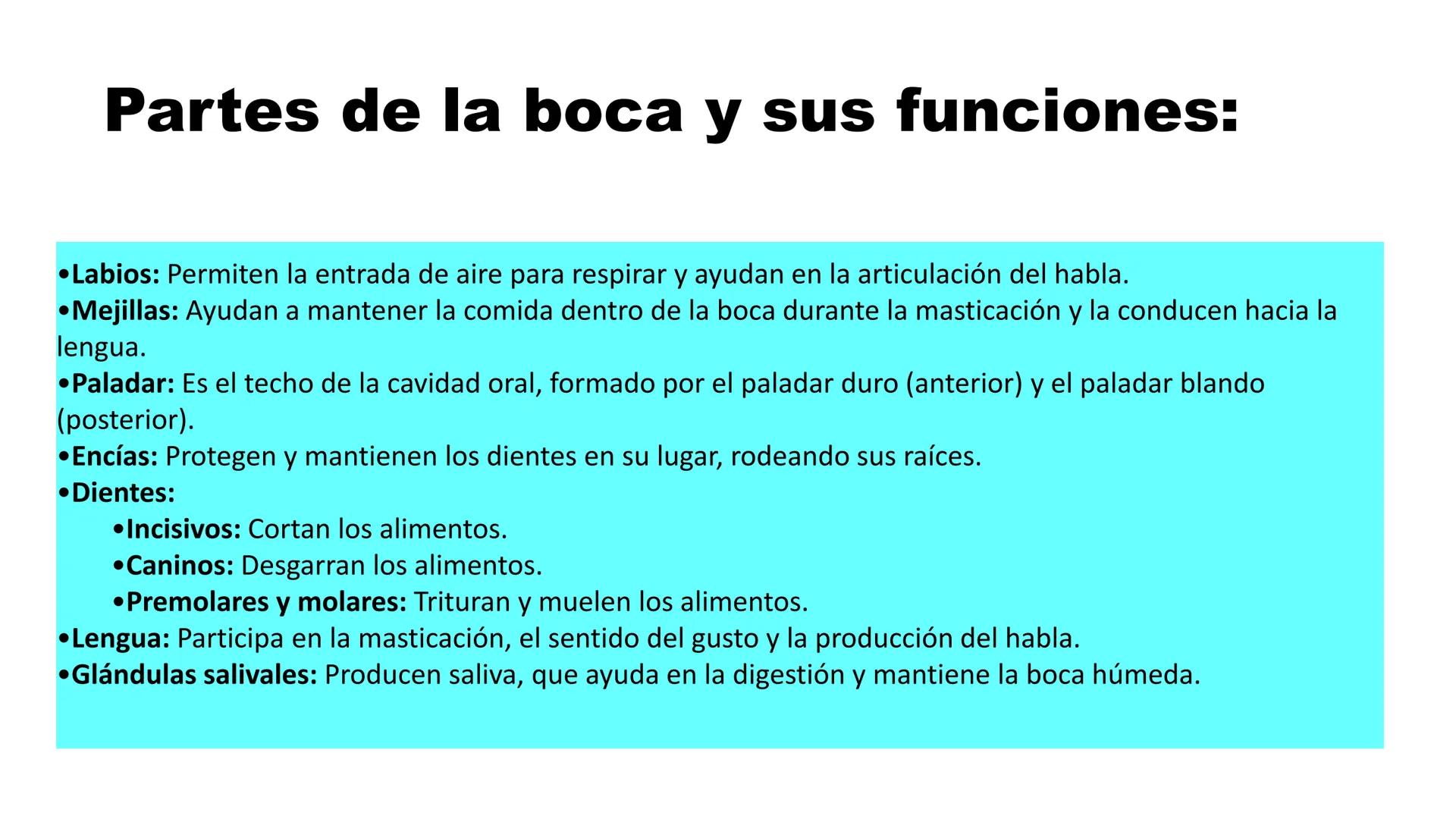 INSTITUTO
DE EDUCACION SUPERIOR TECNOLOGICO PUBLICO
* AYAVIRI *
Anatomía y Fisiología de
la Cavidad Oral
UNIDAD DIDACTICA: SALUD BUCAL # 1.