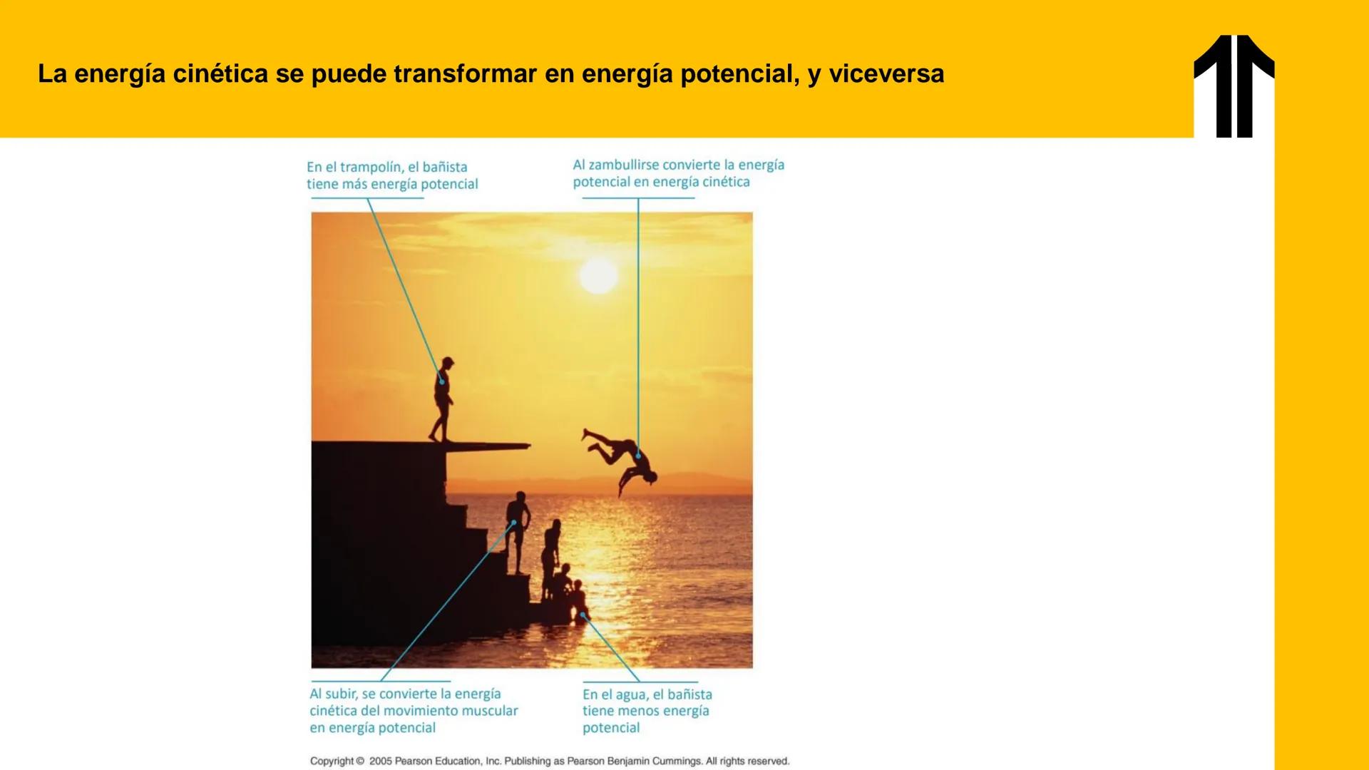 # UPN
UNIVERSIDAD
PRIVADA
DEL NORTE ↑
UNIDAD 3: FÍSICA APLICADA A LOS PROCESOS CELULARES
SEMANA N°9
BIOENERGÉTICA I
CARRERA DE MEDICINA Int