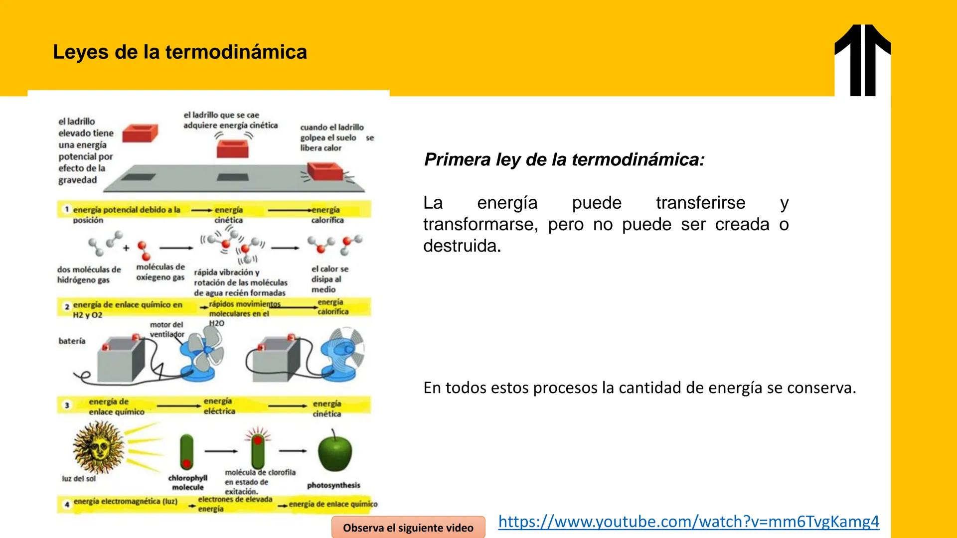 # UPN
UNIVERSIDAD
PRIVADA
DEL NORTE ↑
UNIDAD 3: FÍSICA APLICADA A LOS PROCESOS CELULARES
SEMANA N°9
BIOENERGÉTICA I
CARRERA DE MEDICINA Int