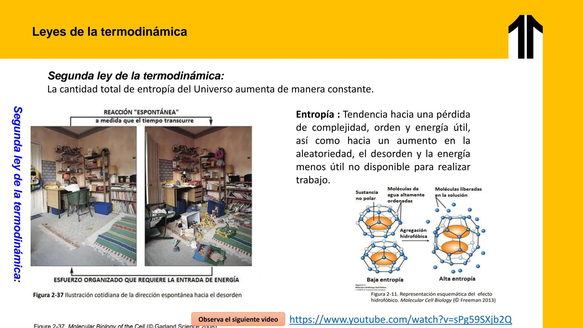 # UPN
UNIVERSIDAD
PRIVADA
DEL NORTE ↑
UNIDAD 3: FÍSICA APLICADA A LOS PROCESOS CELULARES
SEMANA N°9
BIOENERGÉTICA I
CARRERA DE MEDICINA Int