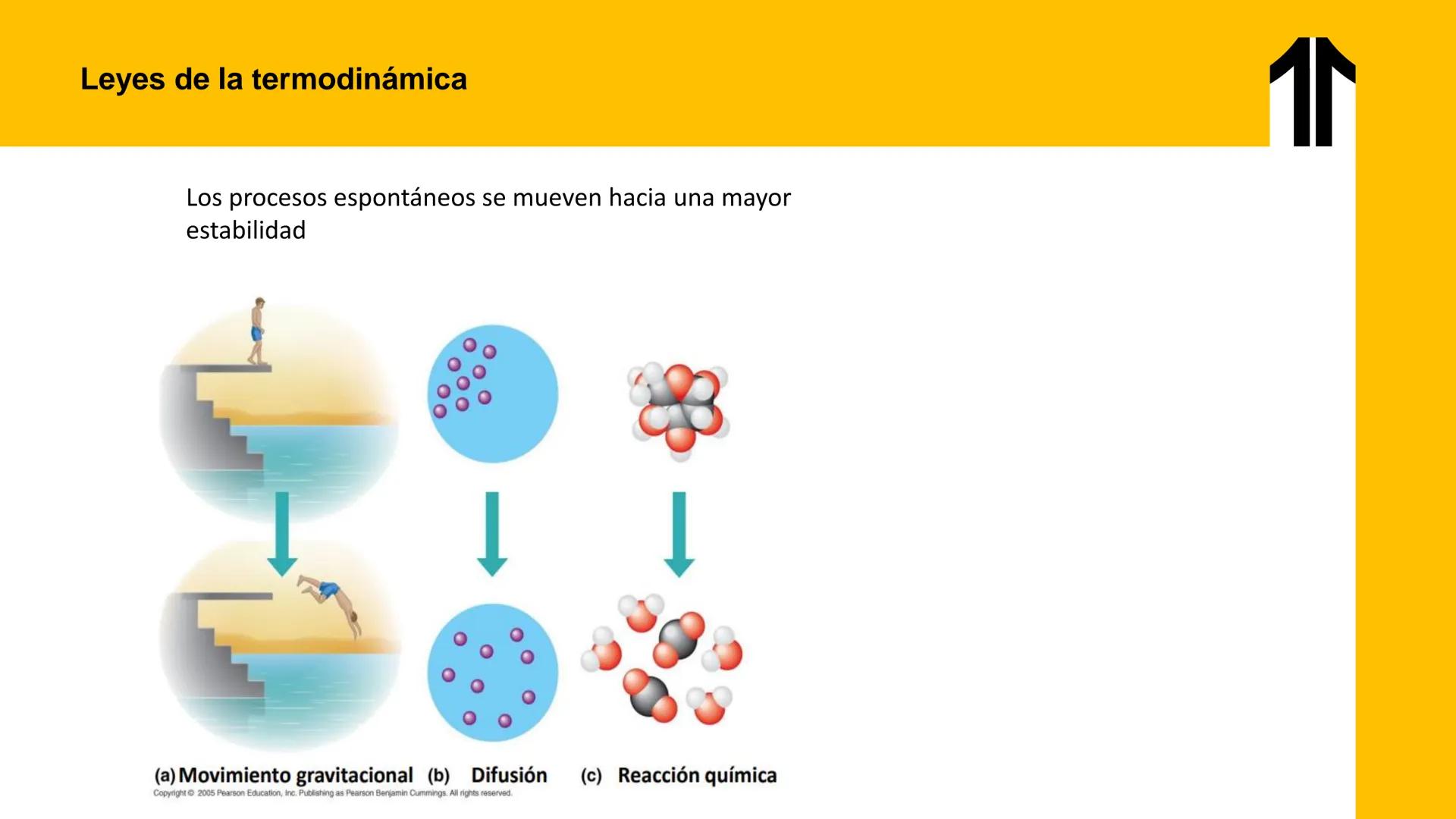 # UPN
UNIVERSIDAD
PRIVADA
DEL NORTE ↑
UNIDAD 3: FÍSICA APLICADA A LOS PROCESOS CELULARES
SEMANA N°9
BIOENERGÉTICA I
CARRERA DE MEDICINA Int