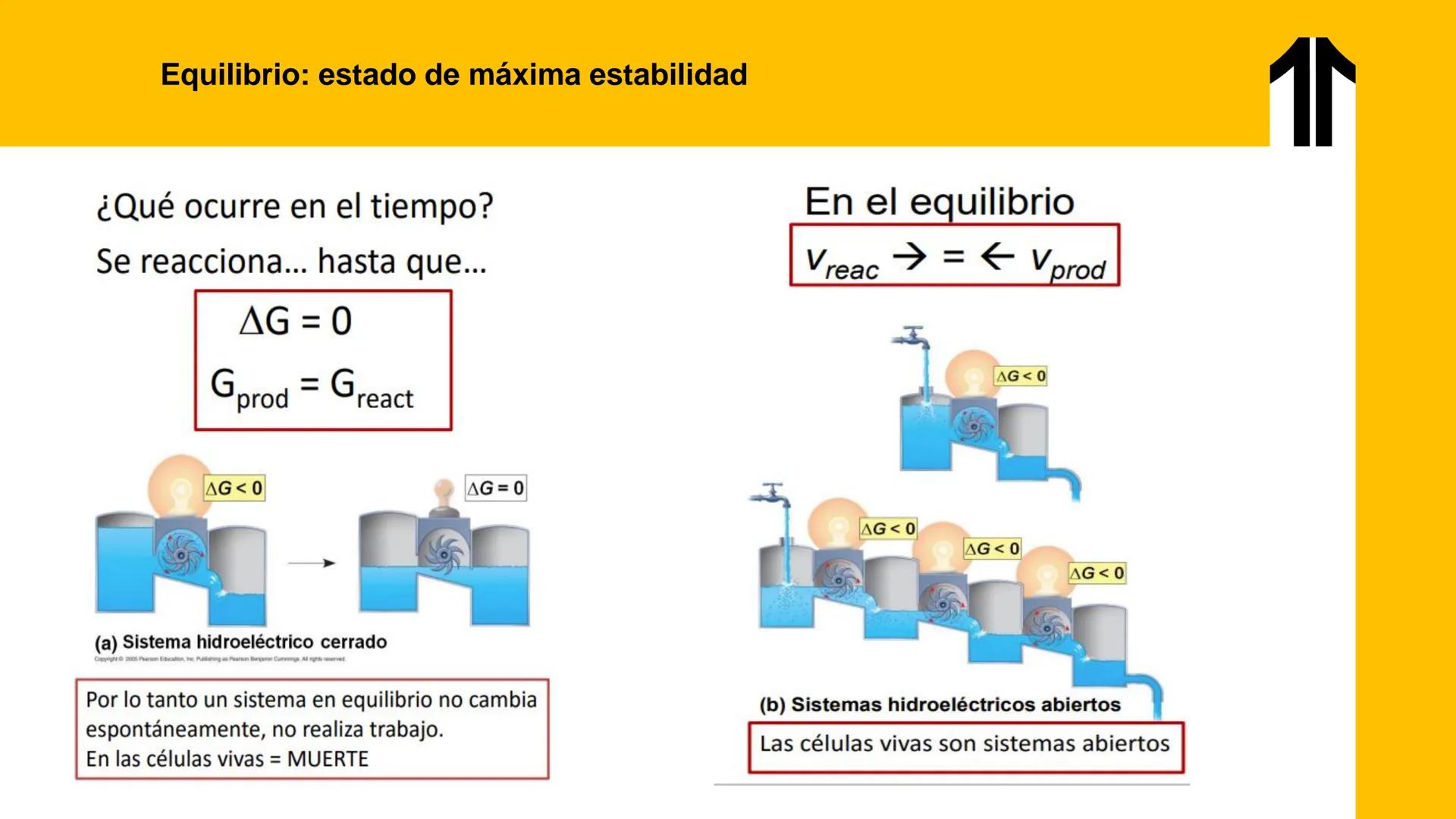 # UPN
UNIVERSIDAD
PRIVADA
DEL NORTE ↑
UNIDAD 3: FÍSICA APLICADA A LOS PROCESOS CELULARES
SEMANA N°9
BIOENERGÉTICA I
CARRERA DE MEDICINA Int