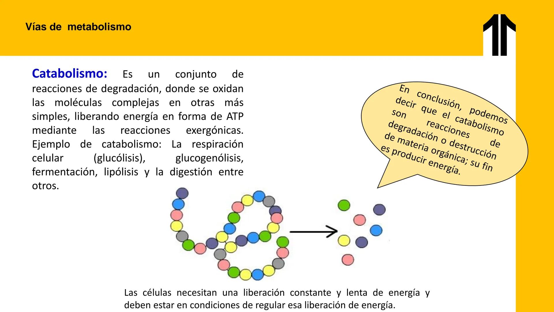 # UPN
UNIVERSIDAD
PRIVADA
DEL NORTE ↑
UNIDAD 3: FÍSICA APLICADA A LOS PROCESOS CELULARES
SEMANA N°9
BIOENERGÉTICA I
CARRERA DE MEDICINA Int