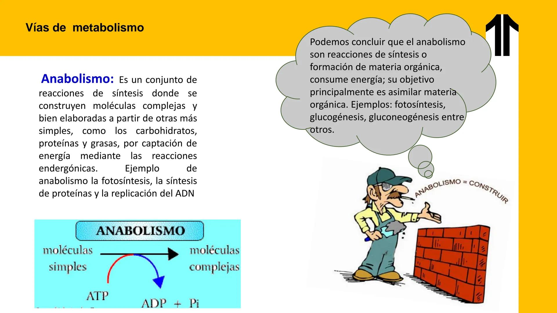 # UPN
UNIVERSIDAD
PRIVADA
DEL NORTE ↑
UNIDAD 3: FÍSICA APLICADA A LOS PROCESOS CELULARES
SEMANA N°9
BIOENERGÉTICA I
CARRERA DE MEDICINA Int