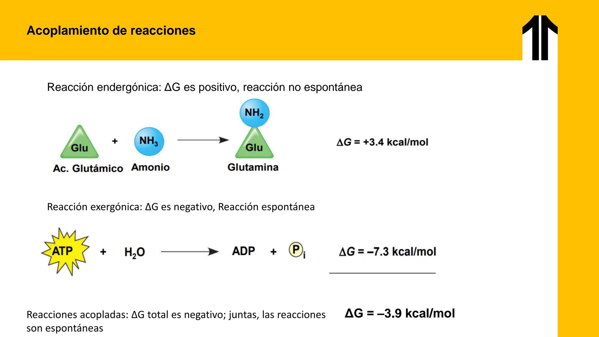 # UPN
UNIVERSIDAD
PRIVADA
DEL NORTE ↑
UNIDAD 3: FÍSICA APLICADA A LOS PROCESOS CELULARES
SEMANA N°9
BIOENERGÉTICA I
CARRERA DE MEDICINA Int