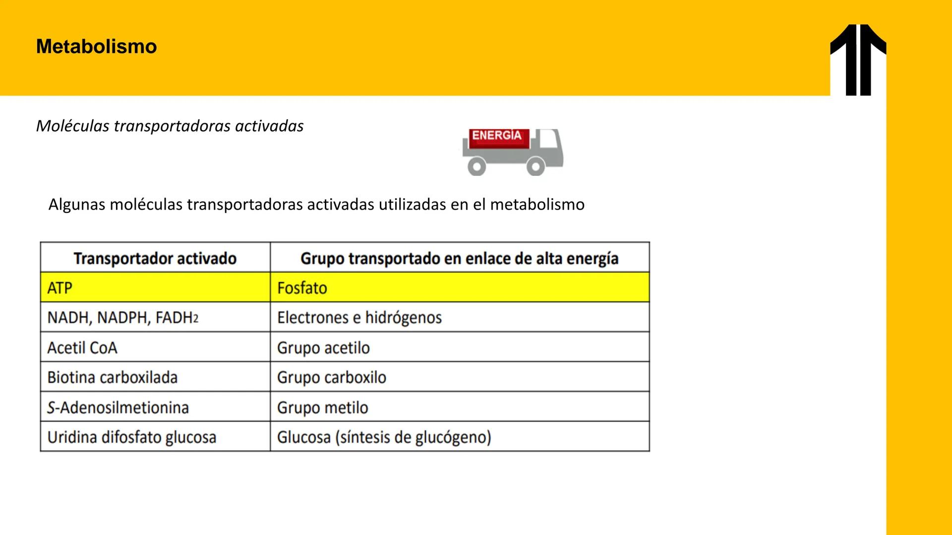 # UPN
UNIVERSIDAD
PRIVADA
DEL NORTE ↑
UNIDAD 3: FÍSICA APLICADA A LOS PROCESOS CELULARES
SEMANA N°9
BIOENERGÉTICA I
CARRERA DE MEDICINA Int