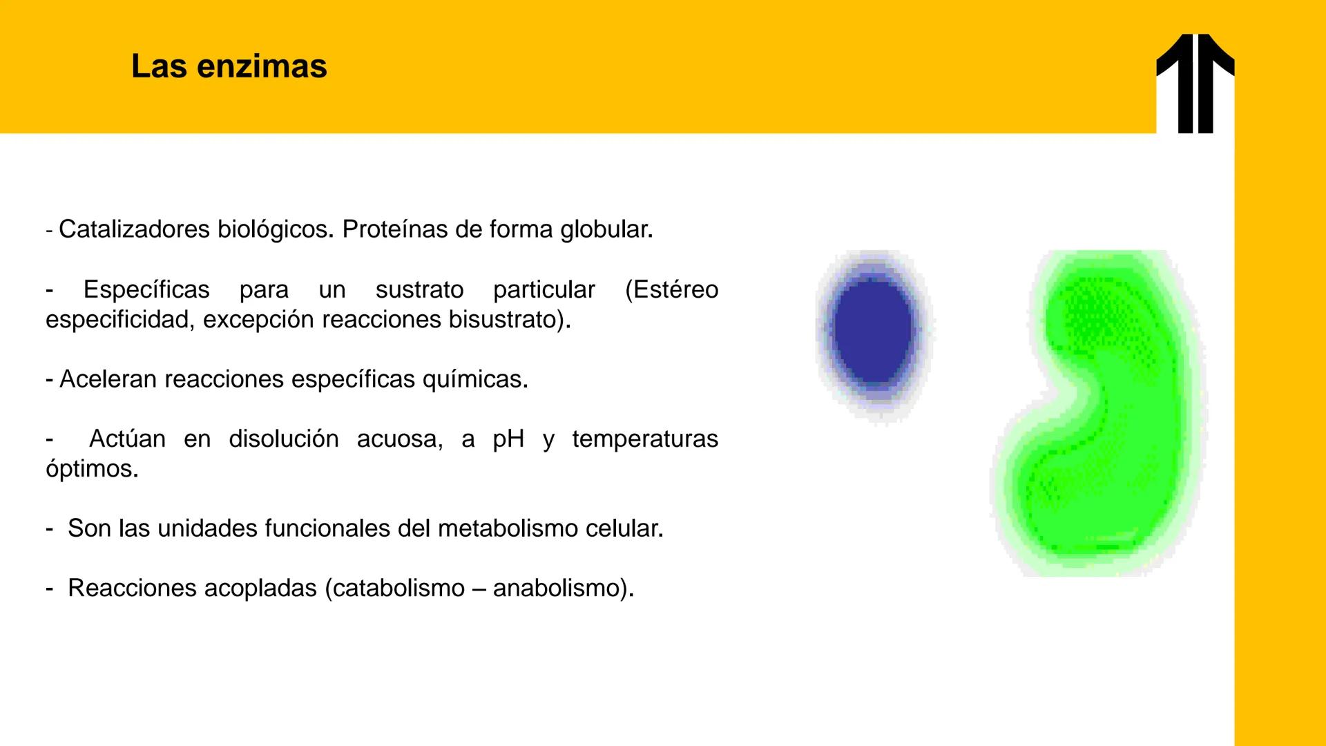 # UPN
UNIVERSIDAD
PRIVADA
DEL NORTE ↑
UNIDAD 3: FÍSICA APLICADA A LOS PROCESOS CELULARES
SEMANA N°9
BIOENERGÉTICA I
CARRERA DE MEDICINA Int