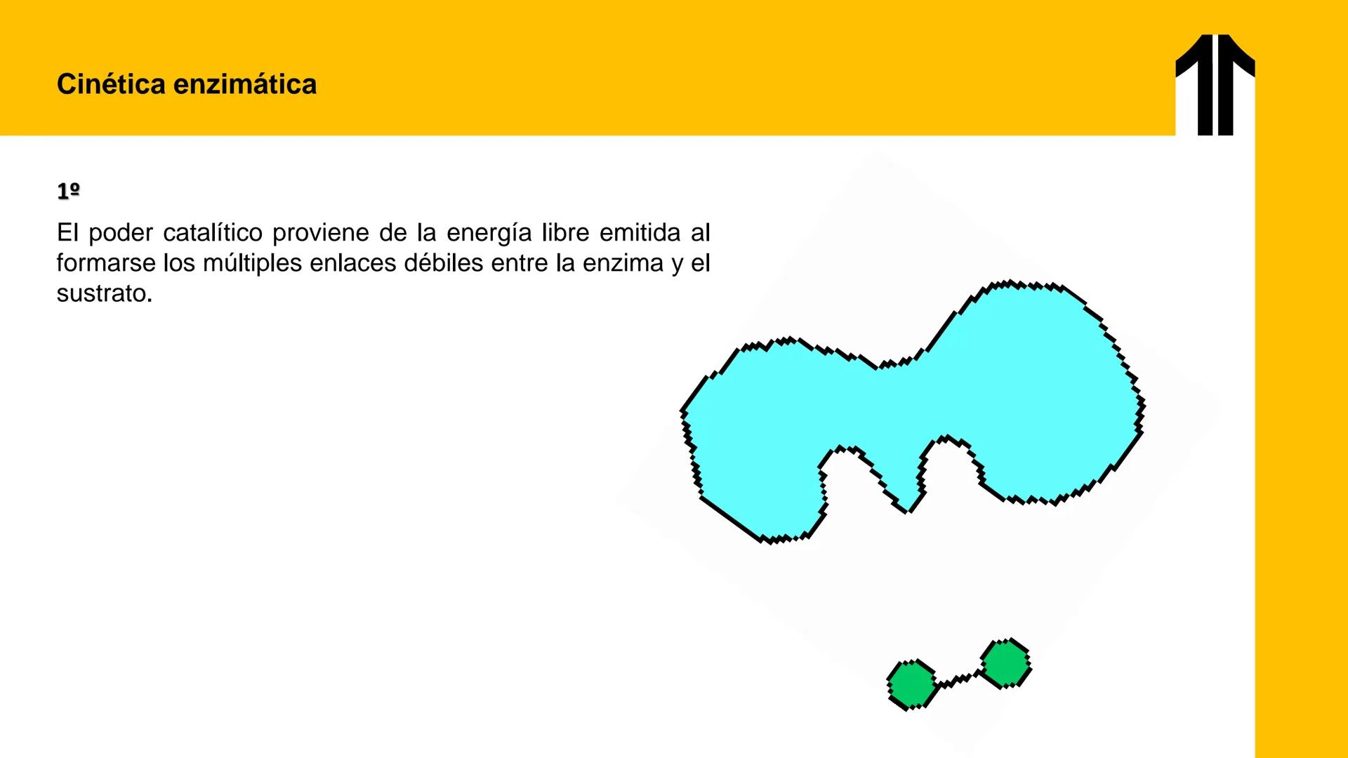 # UPN
UNIVERSIDAD
PRIVADA
DEL NORTE ↑
UNIDAD 3: FÍSICA APLICADA A LOS PROCESOS CELULARES
SEMANA N°9
BIOENERGÉTICA I
CARRERA DE MEDICINA Int