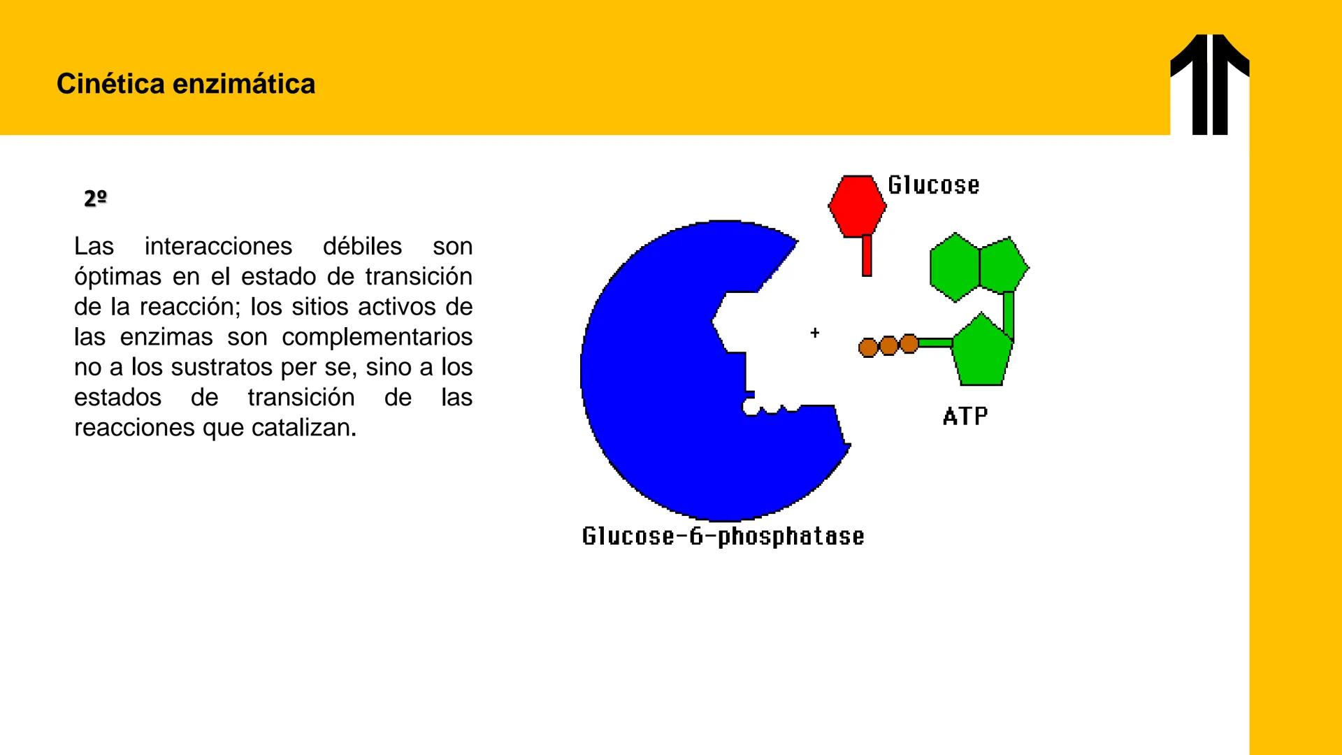 # UPN
UNIVERSIDAD
PRIVADA
DEL NORTE ↑
UNIDAD 3: FÍSICA APLICADA A LOS PROCESOS CELULARES
SEMANA N°9
BIOENERGÉTICA I
CARRERA DE MEDICINA Int