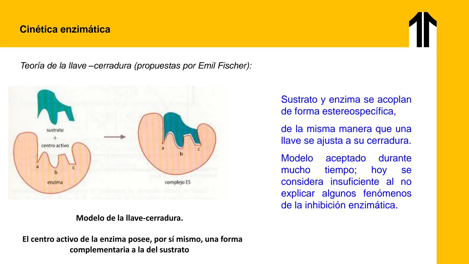 # UPN
UNIVERSIDAD
PRIVADA
DEL NORTE ↑
UNIDAD 3: FÍSICA APLICADA A LOS PROCESOS CELULARES
SEMANA N°9
BIOENERGÉTICA I
CARRERA DE MEDICINA Int
