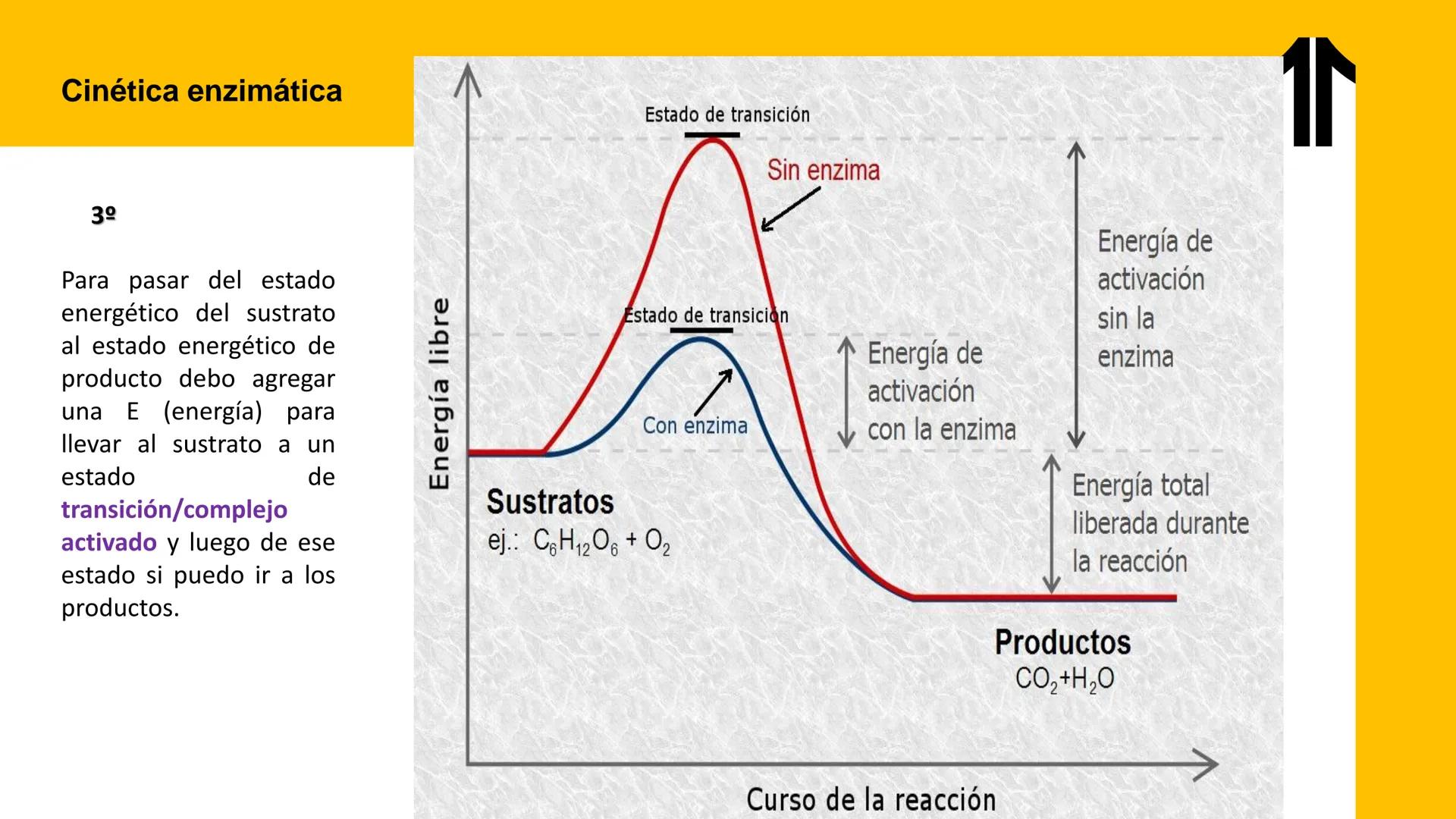 # UPN
UNIVERSIDAD
PRIVADA
DEL NORTE ↑
UNIDAD 3: FÍSICA APLICADA A LOS PROCESOS CELULARES
SEMANA N°9
BIOENERGÉTICA I
CARRERA DE MEDICINA Int