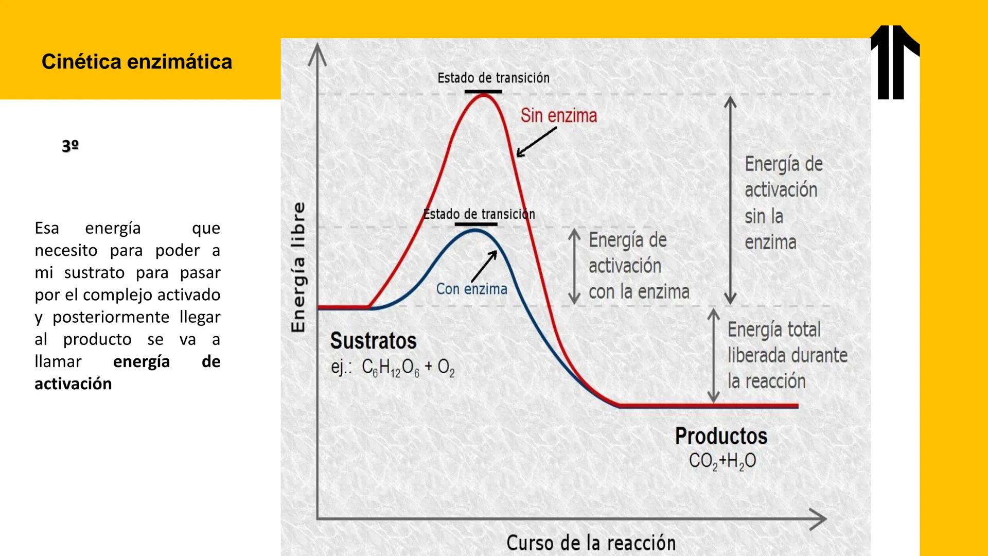 # UPN
UNIVERSIDAD
PRIVADA
DEL NORTE ↑
UNIDAD 3: FÍSICA APLICADA A LOS PROCESOS CELULARES
SEMANA N°9
BIOENERGÉTICA I
CARRERA DE MEDICINA Int
