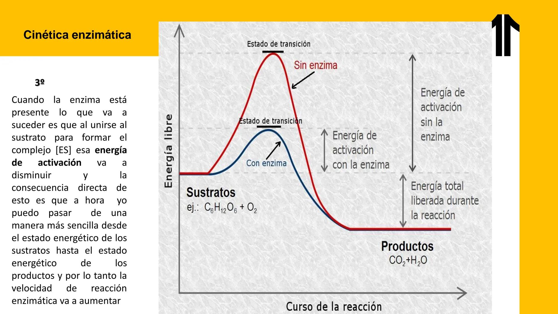 # UPN
UNIVERSIDAD
PRIVADA
DEL NORTE ↑
UNIDAD 3: FÍSICA APLICADA A LOS PROCESOS CELULARES
SEMANA N°9
BIOENERGÉTICA I
CARRERA DE MEDICINA Int