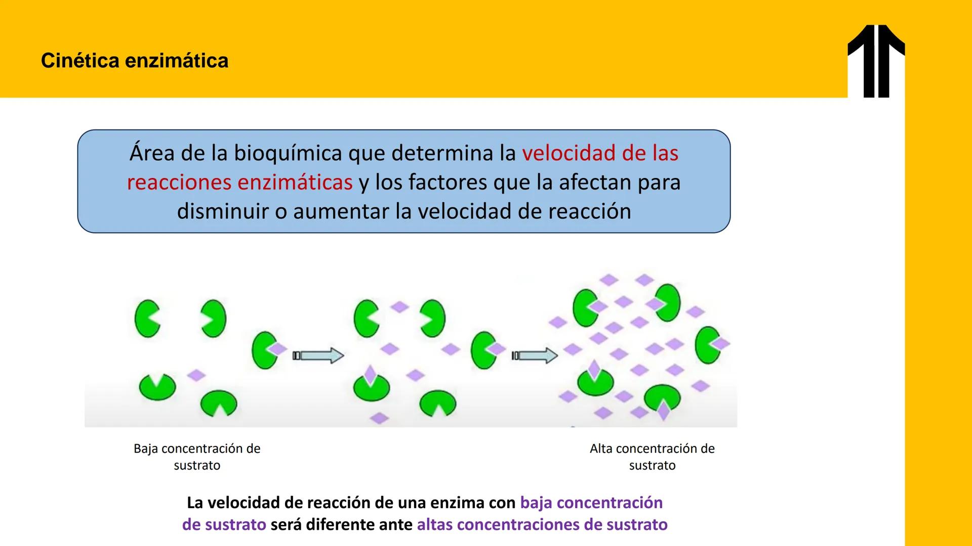 # UPN
UNIVERSIDAD
PRIVADA
DEL NORTE ↑
UNIDAD 3: FÍSICA APLICADA A LOS PROCESOS CELULARES
SEMANA N°9
BIOENERGÉTICA I
CARRERA DE MEDICINA Int