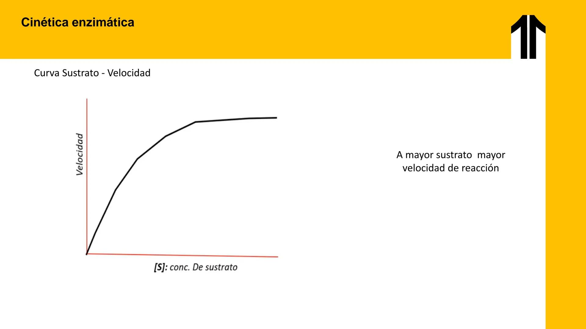 # UPN
UNIVERSIDAD
PRIVADA
DEL NORTE ↑
UNIDAD 3: FÍSICA APLICADA A LOS PROCESOS CELULARES
SEMANA N°9
BIOENERGÉTICA I
CARRERA DE MEDICINA Int