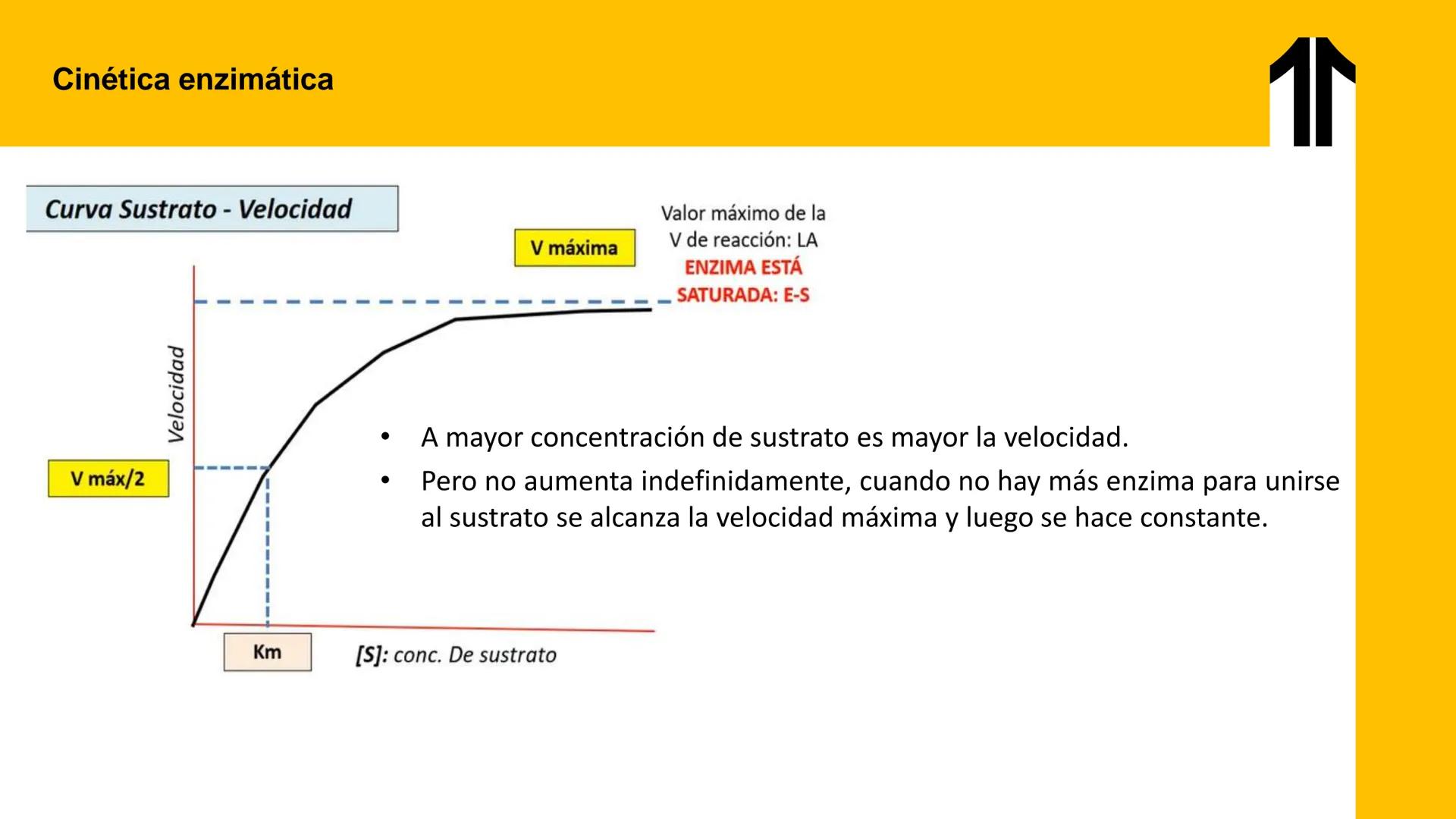 # UPN
UNIVERSIDAD
PRIVADA
DEL NORTE ↑
UNIDAD 3: FÍSICA APLICADA A LOS PROCESOS CELULARES
SEMANA N°9
BIOENERGÉTICA I
CARRERA DE MEDICINA Int
