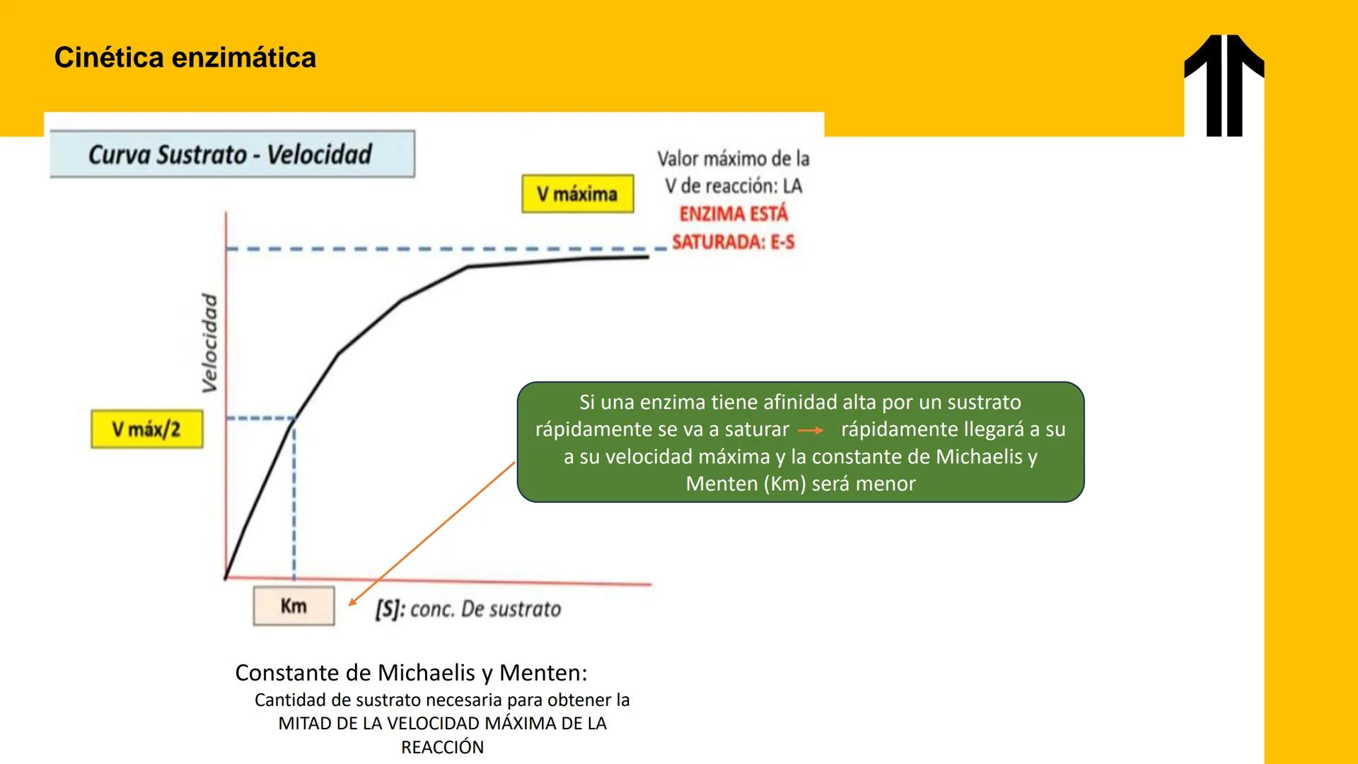 # UPN
UNIVERSIDAD
PRIVADA
DEL NORTE ↑
UNIDAD 3: FÍSICA APLICADA A LOS PROCESOS CELULARES
SEMANA N°9
BIOENERGÉTICA I
CARRERA DE MEDICINA Int