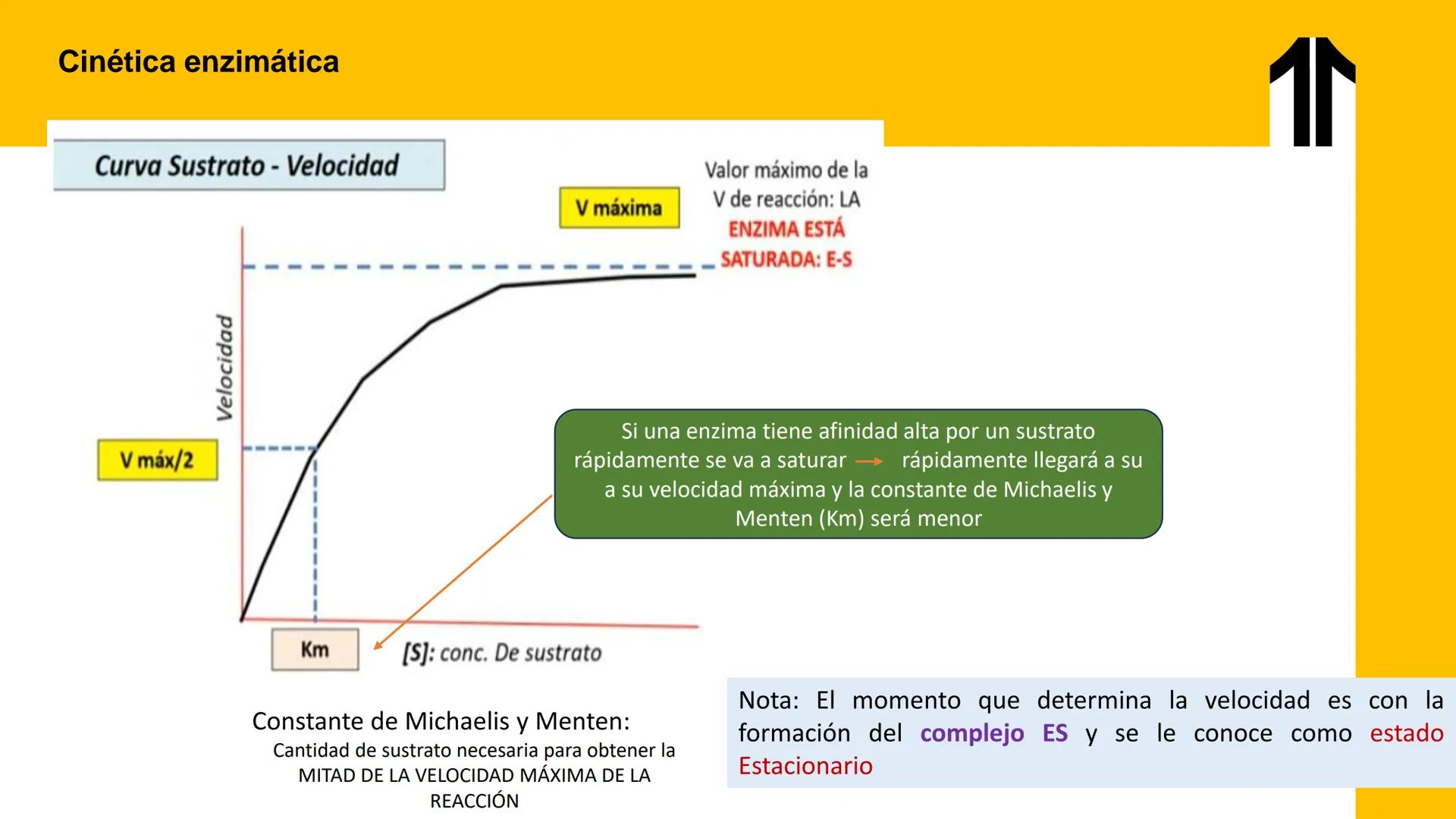# UPN
UNIVERSIDAD
PRIVADA
DEL NORTE ↑
UNIDAD 3: FÍSICA APLICADA A LOS PROCESOS CELULARES
SEMANA N°9
BIOENERGÉTICA I
CARRERA DE MEDICINA Int
