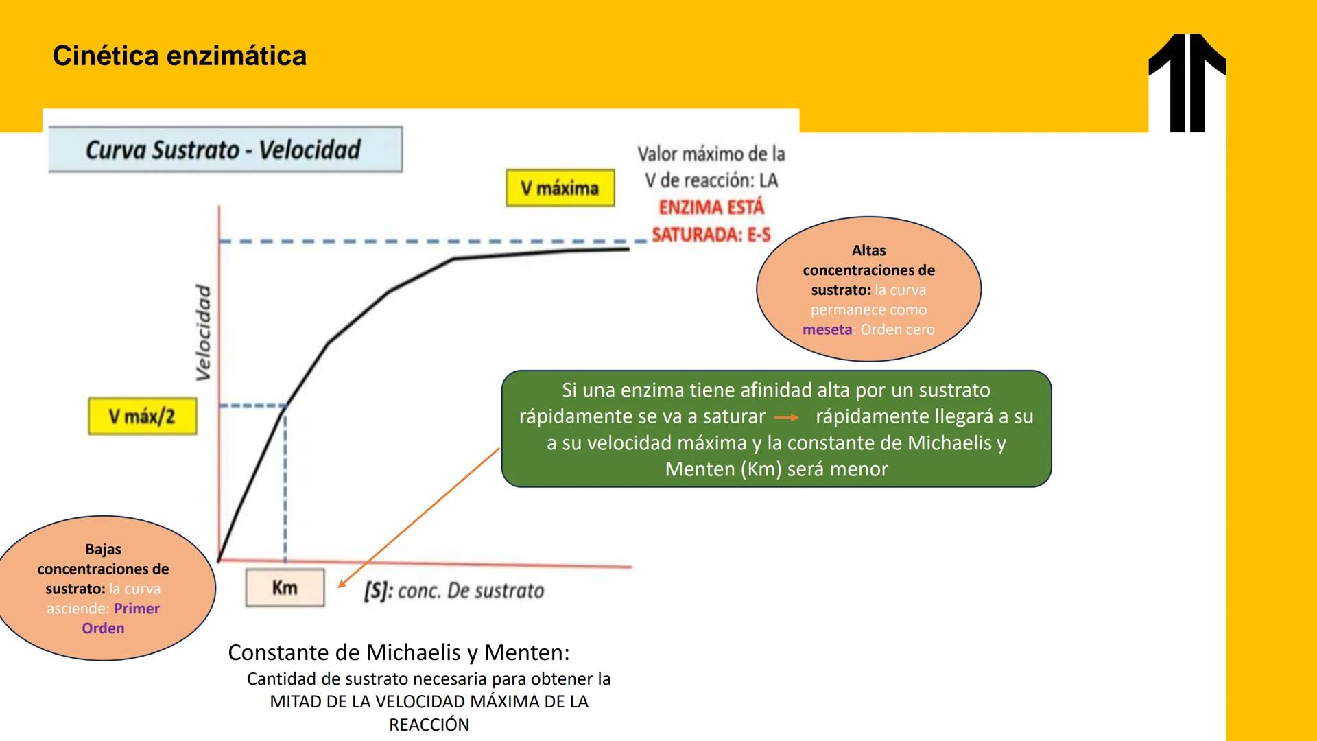 # UPN
UNIVERSIDAD
PRIVADA
DEL NORTE ↑
UNIDAD 3: FÍSICA APLICADA A LOS PROCESOS CELULARES
SEMANA N°9
BIOENERGÉTICA I
CARRERA DE MEDICINA Int