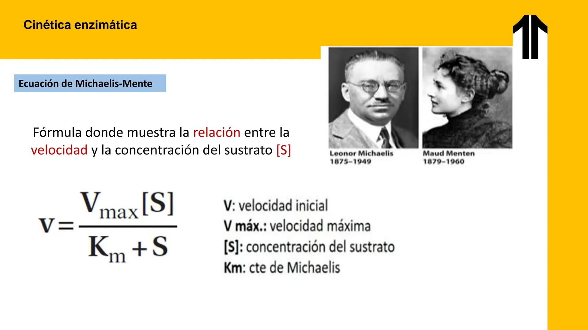 # UPN
UNIVERSIDAD
PRIVADA
DEL NORTE ↑
UNIDAD 3: FÍSICA APLICADA A LOS PROCESOS CELULARES
SEMANA N°9
BIOENERGÉTICA I
CARRERA DE MEDICINA Int