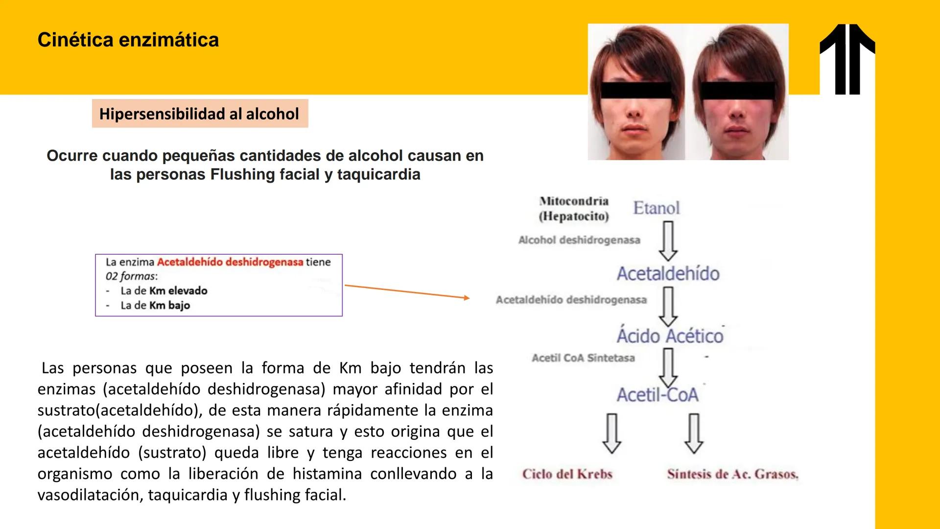 # UPN
UNIVERSIDAD
PRIVADA
DEL NORTE ↑
UNIDAD 3: FÍSICA APLICADA A LOS PROCESOS CELULARES
SEMANA N°9
BIOENERGÉTICA I
CARRERA DE MEDICINA Int