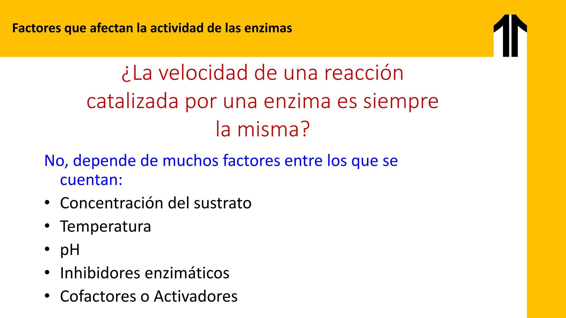 # UPN
UNIVERSIDAD
PRIVADA
DEL NORTE ↑
UNIDAD 3: FÍSICA APLICADA A LOS PROCESOS CELULARES
SEMANA N°9
BIOENERGÉTICA I
CARRERA DE MEDICINA Int