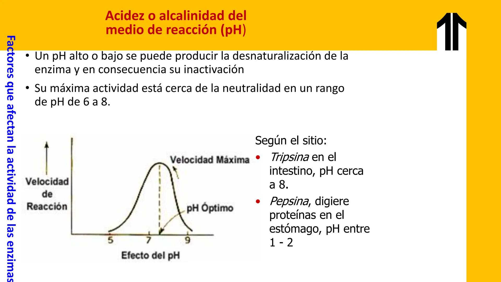 # UPN
UNIVERSIDAD
PRIVADA
DEL NORTE ↑
UNIDAD 3: FÍSICA APLICADA A LOS PROCESOS CELULARES
SEMANA N°9
BIOENERGÉTICA I
CARRERA DE MEDICINA Int