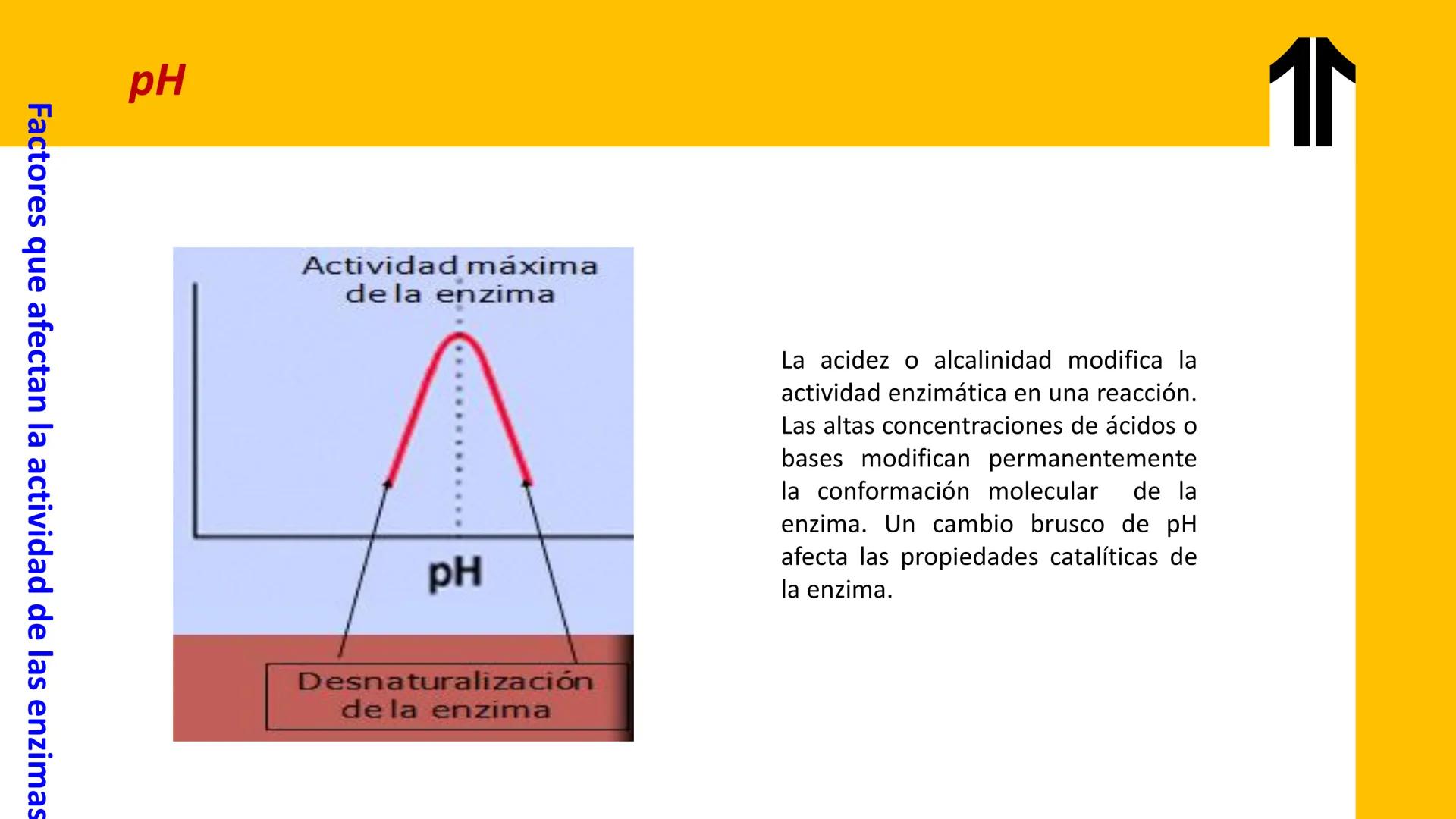 # UPN
UNIVERSIDAD
PRIVADA
DEL NORTE ↑
UNIDAD 3: FÍSICA APLICADA A LOS PROCESOS CELULARES
SEMANA N°9
BIOENERGÉTICA I
CARRERA DE MEDICINA Int