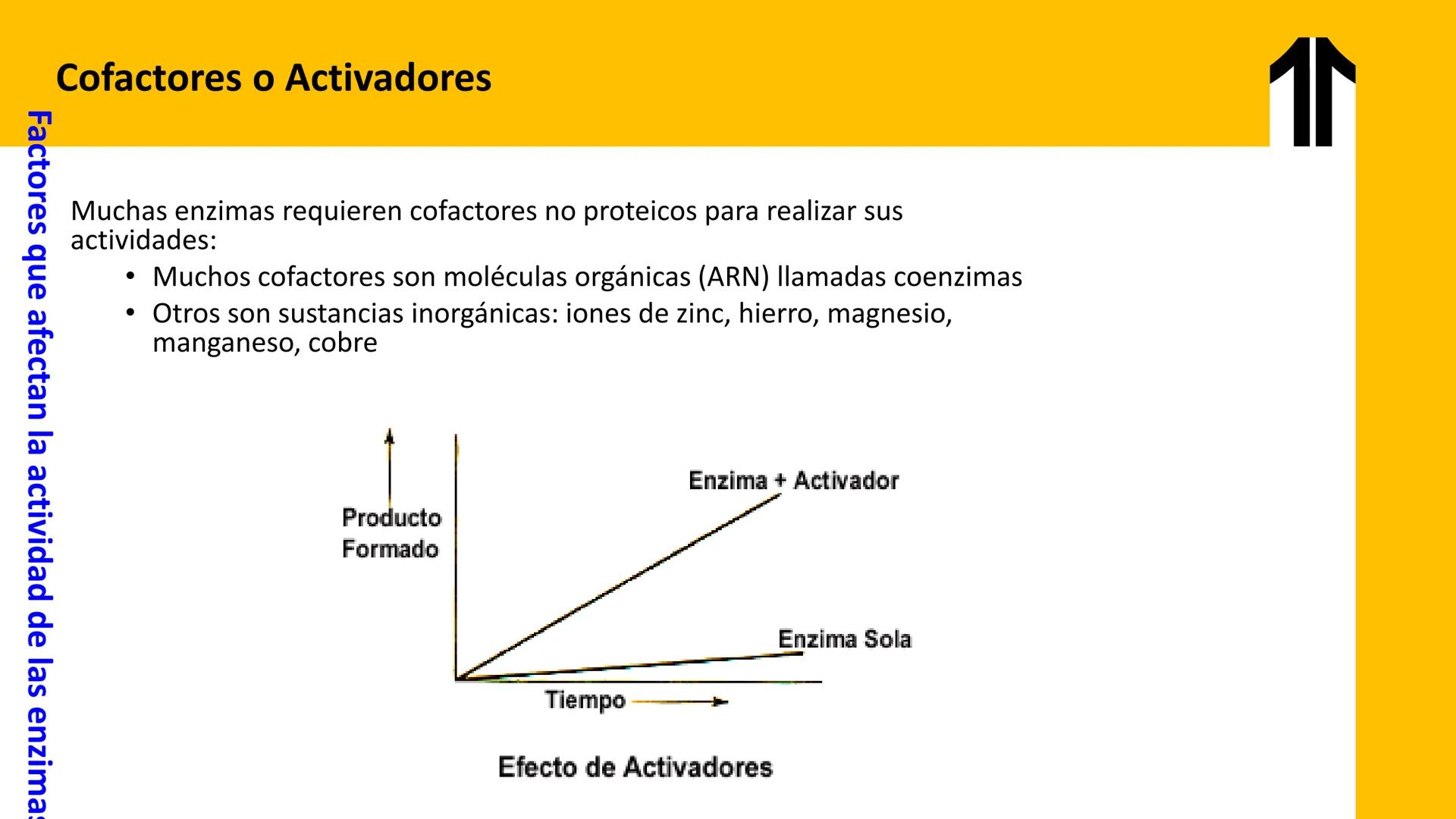 # UPN
UNIVERSIDAD
PRIVADA
DEL NORTE ↑
UNIDAD 3: FÍSICA APLICADA A LOS PROCESOS CELULARES
SEMANA N°9
BIOENERGÉTICA I
CARRERA DE MEDICINA Int