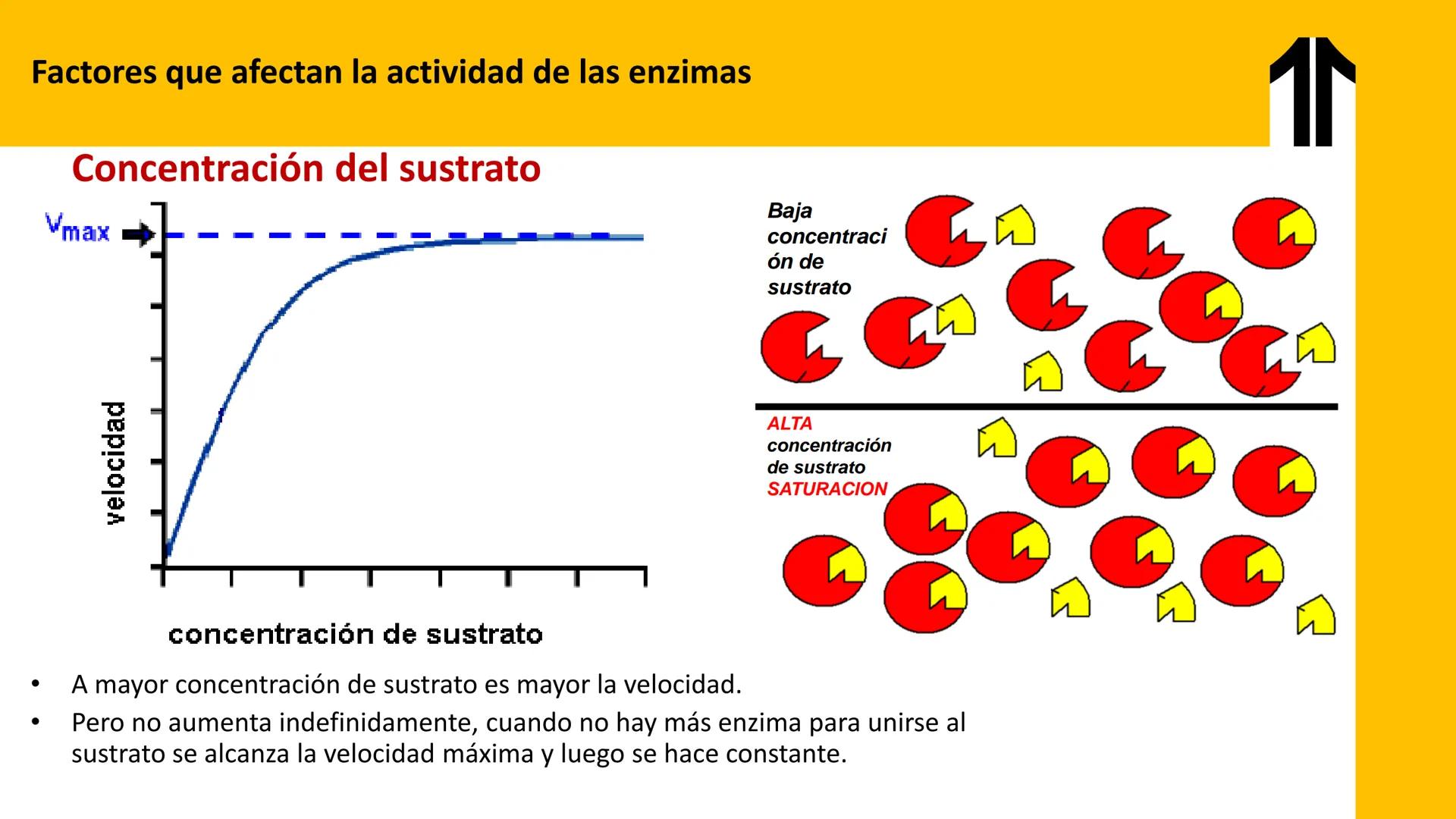 # UPN
UNIVERSIDAD
PRIVADA
DEL NORTE ↑
UNIDAD 3: FÍSICA APLICADA A LOS PROCESOS CELULARES
SEMANA N°9
BIOENERGÉTICA I
CARRERA DE MEDICINA Int