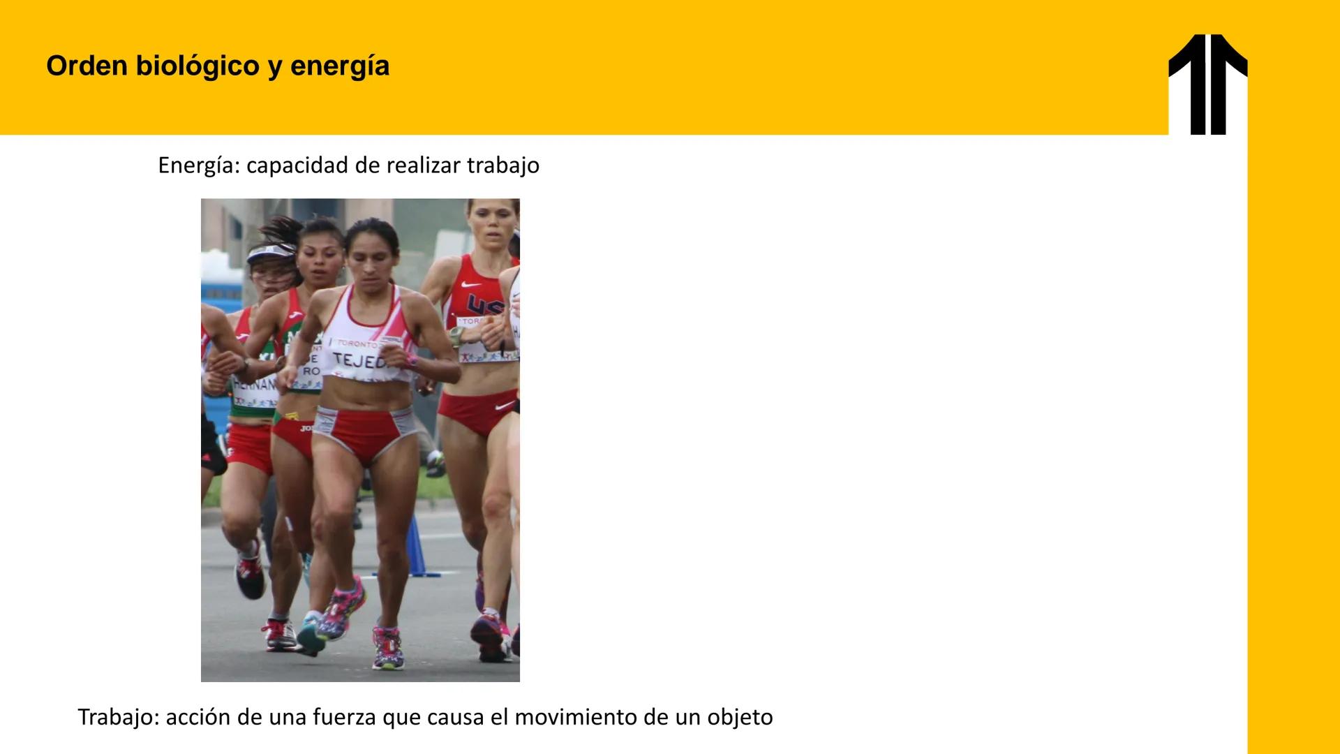 # UPN
UNIVERSIDAD
PRIVADA
DEL NORTE ↑
UNIDAD 3: FÍSICA APLICADA A LOS PROCESOS CELULARES
SEMANA N°9
BIOENERGÉTICA I
CARRERA DE MEDICINA Int