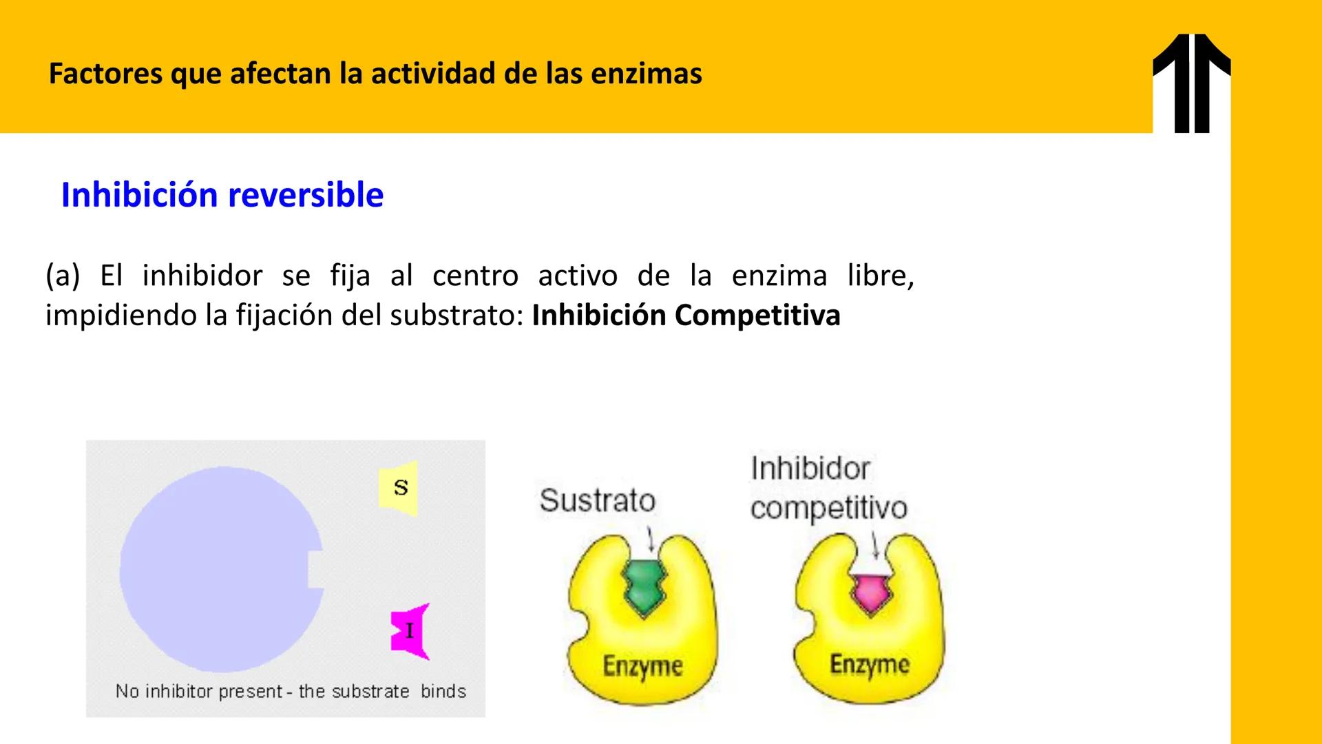 # UPN
UNIVERSIDAD
PRIVADA
DEL NORTE ↑
UNIDAD 3: FÍSICA APLICADA A LOS PROCESOS CELULARES
SEMANA N°9
BIOENERGÉTICA I
CARRERA DE MEDICINA Int