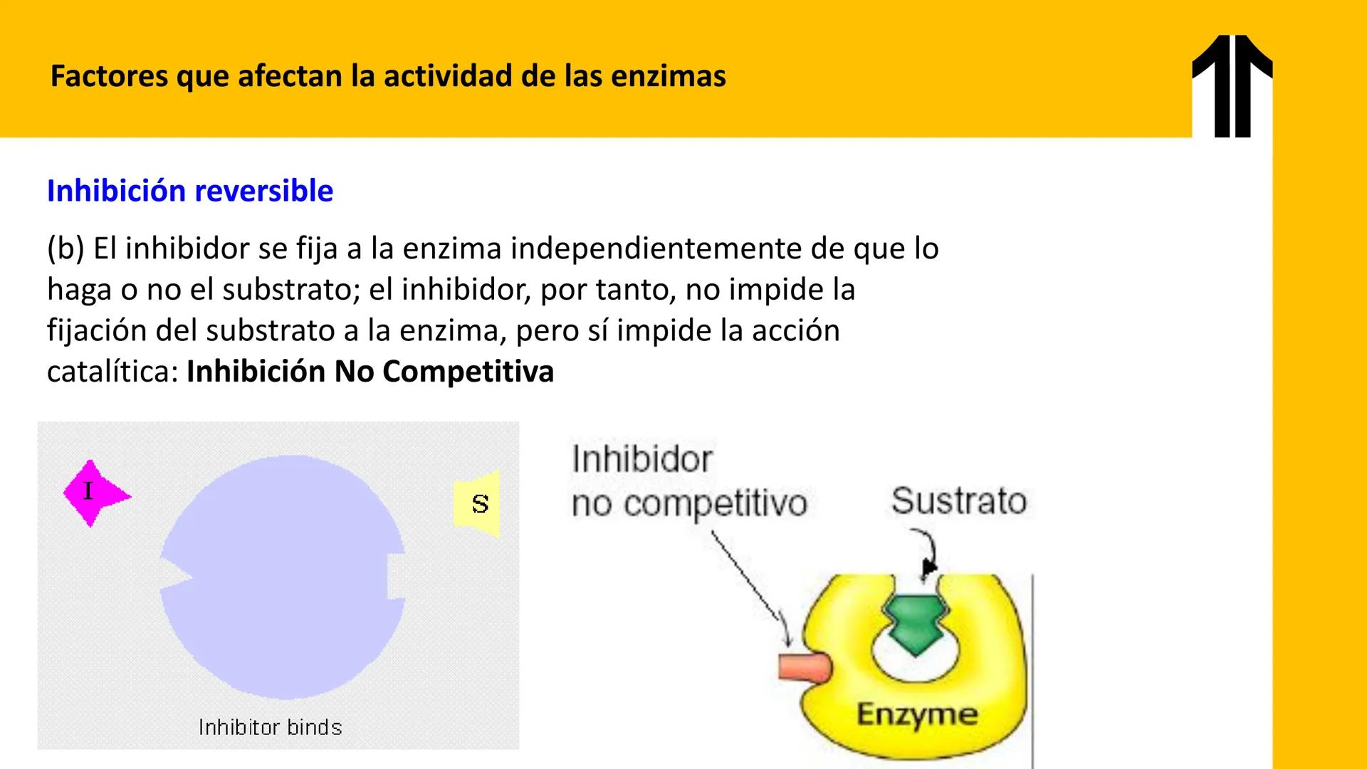 # UPN
UNIVERSIDAD
PRIVADA
DEL NORTE ↑
UNIDAD 3: FÍSICA APLICADA A LOS PROCESOS CELULARES
SEMANA N°9
BIOENERGÉTICA I
CARRERA DE MEDICINA Int