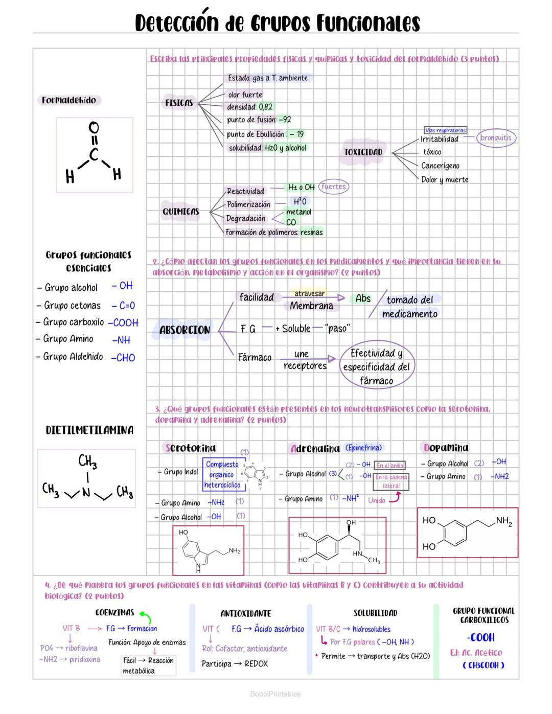 Práctica Lab_Grupos funcionales