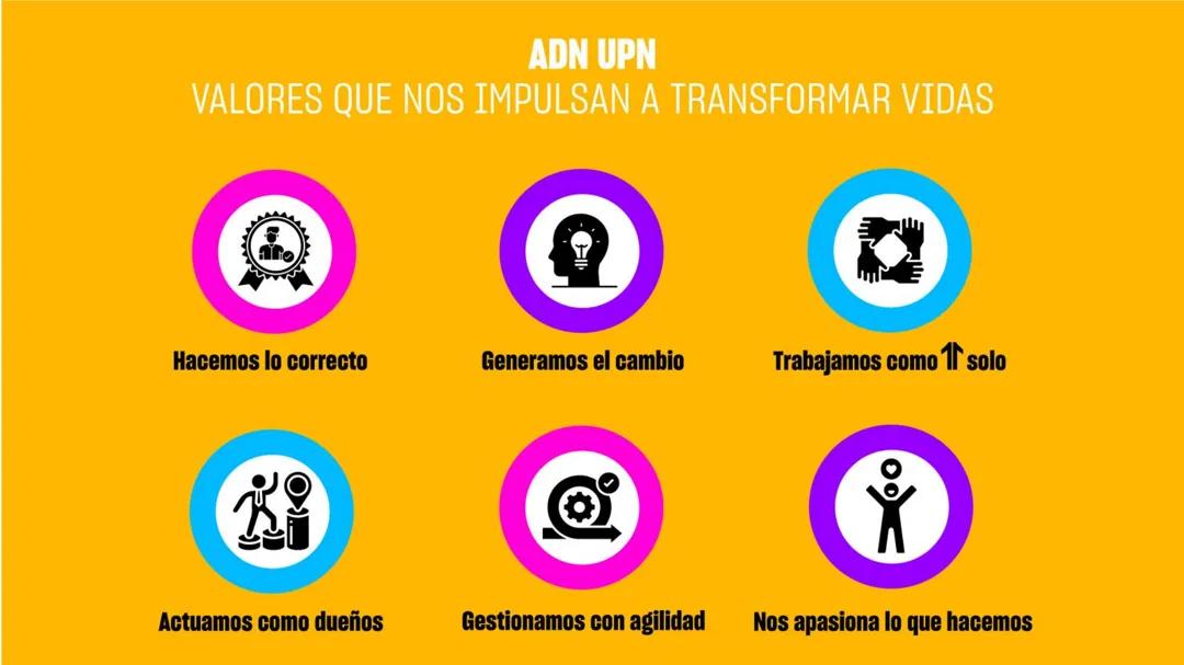 Introducción a la enfermería