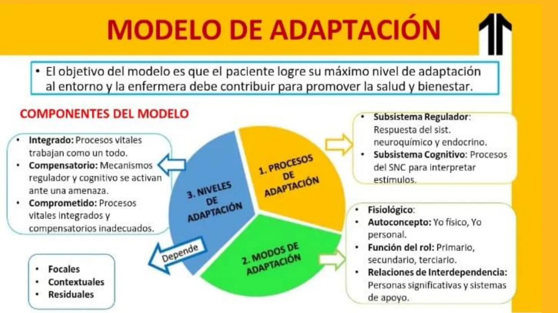 ADN UPN
VALORES QUE NOS IMPULSAN A TRANSFORMAR VIDAS
Hacemos lo correcto
Generamos el cambio
Trabajamos como 1 solo
Actuamos como dueños
Ges