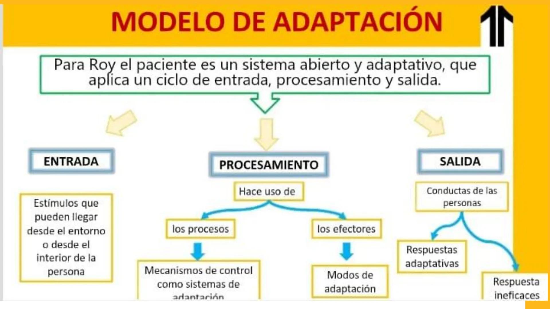 ADN UPN
VALORES QUE NOS IMPULSAN A TRANSFORMAR VIDAS
Hacemos lo correcto
Generamos el cambio
Trabajamos como 1 solo
Actuamos como dueños
Ges