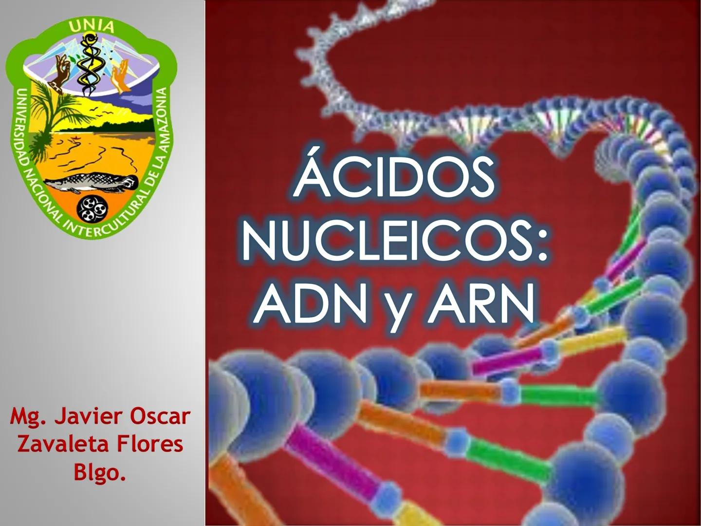 UNIA
UNIVERSIDAD NACIONAL INTERCULTURAL
ÁCIDOS
NUCLEICOS:
ADN Y ARN
Mg. Javier Oscar
Zavaleta Flores
Blgo. # ¿QUÉ SON LOS ÁCIDOS NUCLEICOS?