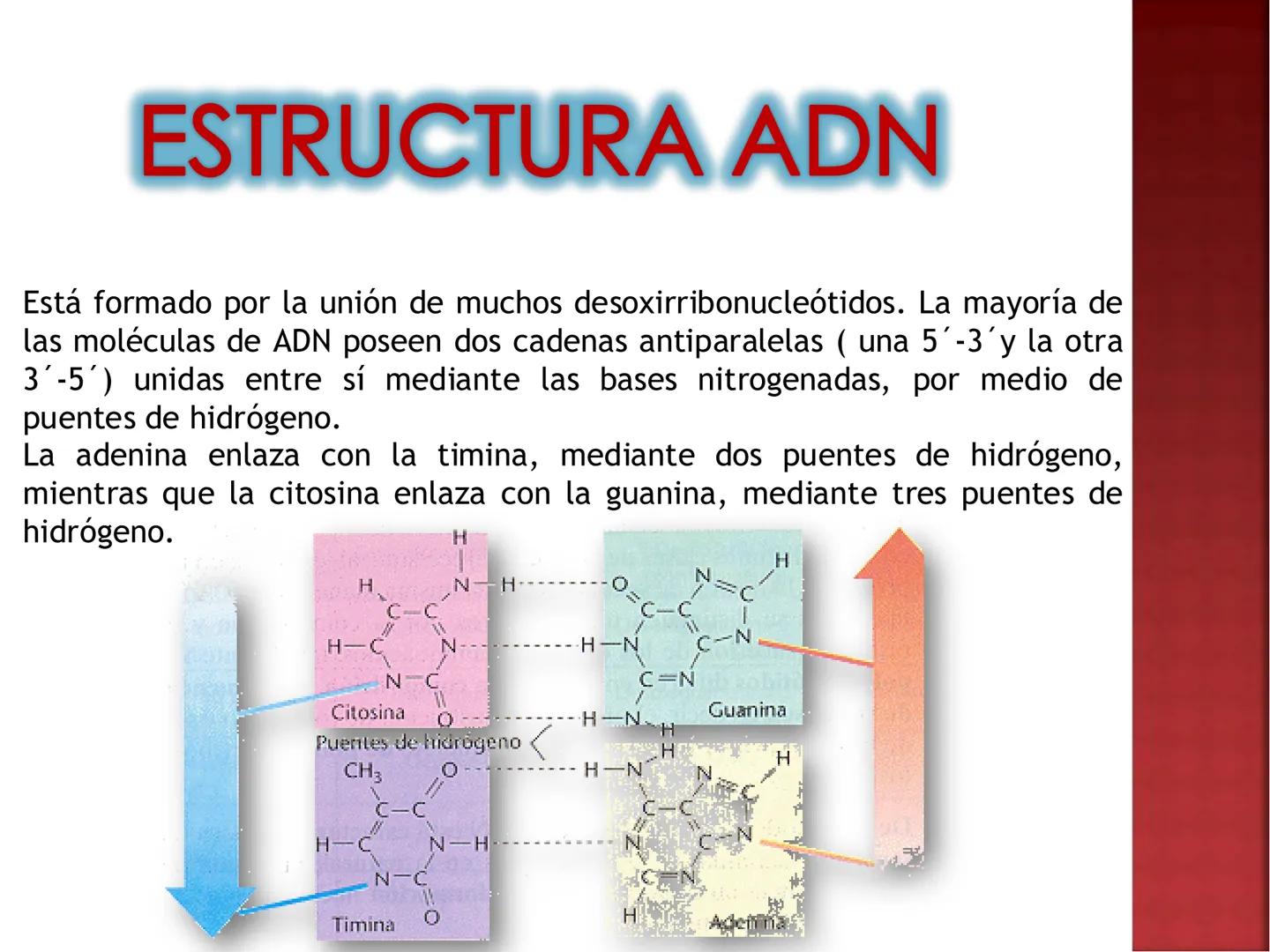 UNIA
UNIVERSIDAD NACIONAL INTERCULTURAL
ÁCIDOS
NUCLEICOS:
ADN Y ARN
Mg. Javier Oscar
Zavaleta Flores
Blgo. # ¿QUÉ SON LOS ÁCIDOS NUCLEICOS?