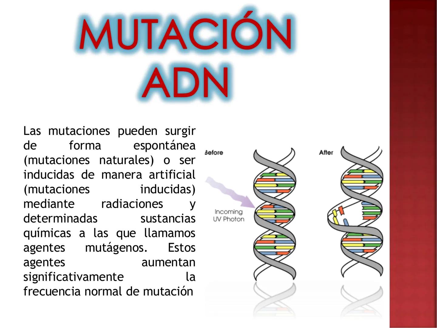UNIA
UNIVERSIDAD NACIONAL INTERCULTURAL
ÁCIDOS
NUCLEICOS:
ADN Y ARN
Mg. Javier Oscar
Zavaleta Flores
Blgo. # ¿QUÉ SON LOS ÁCIDOS NUCLEICOS?