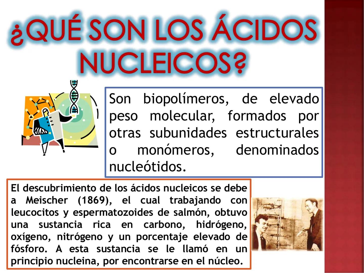 UNIA
UNIVERSIDAD NACIONAL INTERCULTURAL
ÁCIDOS
NUCLEICOS:
ADN Y ARN
Mg. Javier Oscar
Zavaleta Flores
Blgo. # ¿QUÉ SON LOS ÁCIDOS NUCLEICOS?
