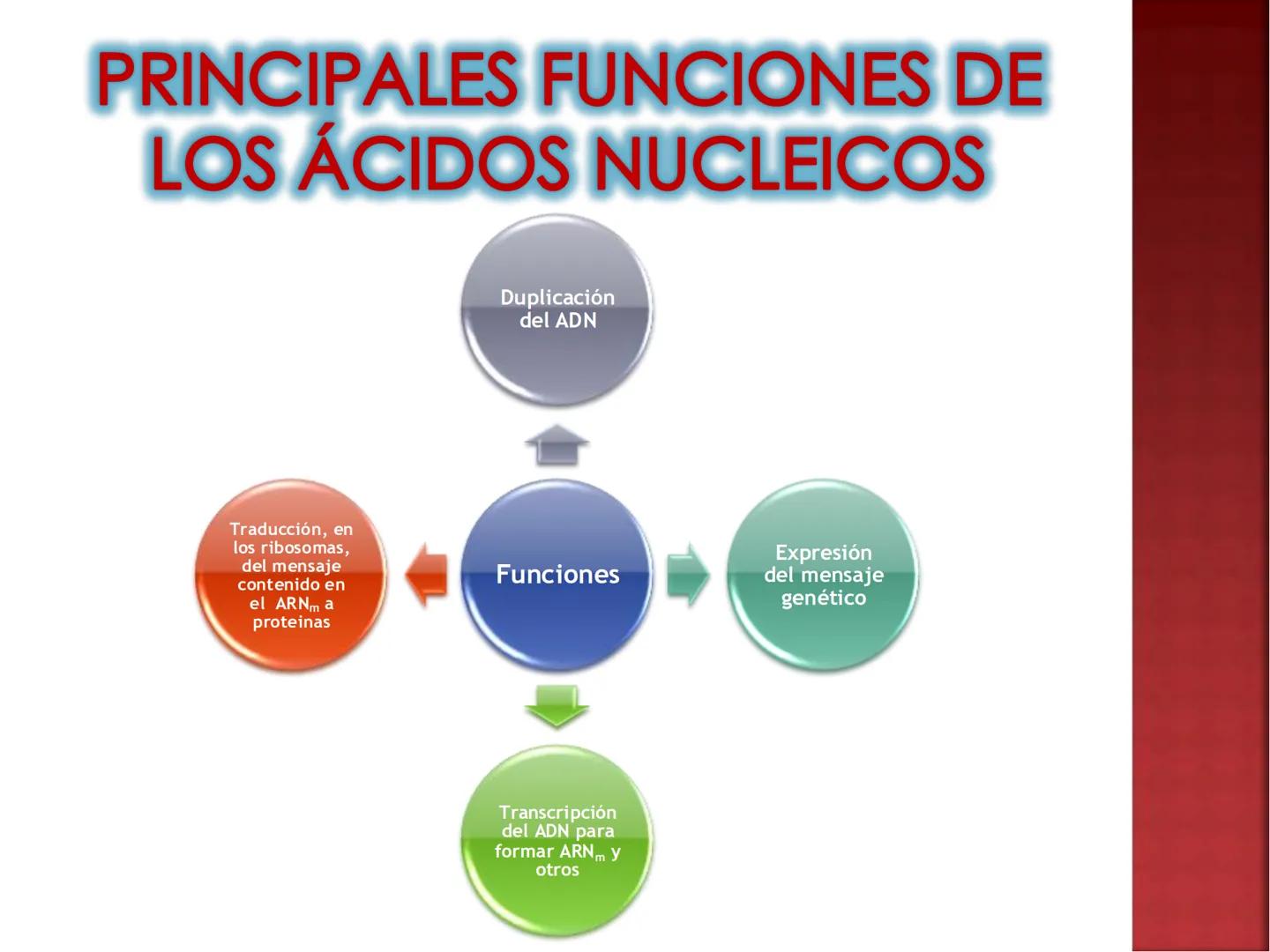 UNIA
UNIVERSIDAD NACIONAL INTERCULTURAL
ÁCIDOS
NUCLEICOS:
ADN Y ARN
Mg. Javier Oscar
Zavaleta Flores
Blgo. # ¿QUÉ SON LOS ÁCIDOS NUCLEICOS?