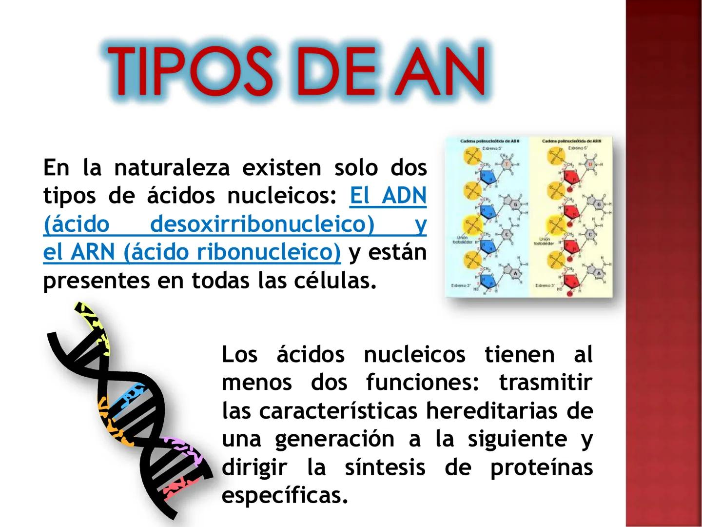 UNIA
UNIVERSIDAD NACIONAL INTERCULTURAL
ÁCIDOS
NUCLEICOS:
ADN Y ARN
Mg. Javier Oscar
Zavaleta Flores
Blgo. # ¿QUÉ SON LOS ÁCIDOS NUCLEICOS?