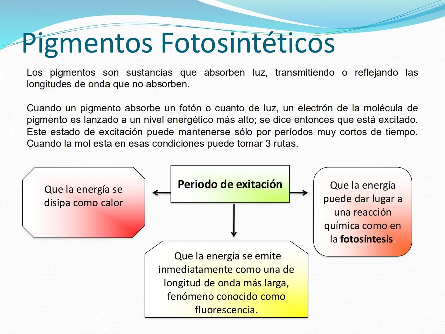 UNIA
UNIVERSIDAD N
JRAL DE LA AMAZONIA
NACIONAL INTERCULTU
FOTOSINTESIS
Energía
del sol
Oxígeno
O2
Dióxido de carbono
CO2
Minerales
Azúcar
6