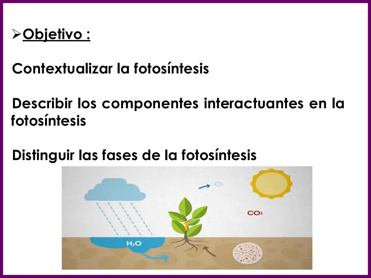 UNIA
UNIVERSIDAD N
JRAL DE LA AMAZONIA
NACIONAL INTERCULTU
FOTOSINTESIS
Energía
del sol
Oxígeno
O2
Dióxido de carbono
CO2
Minerales
Azúcar
6